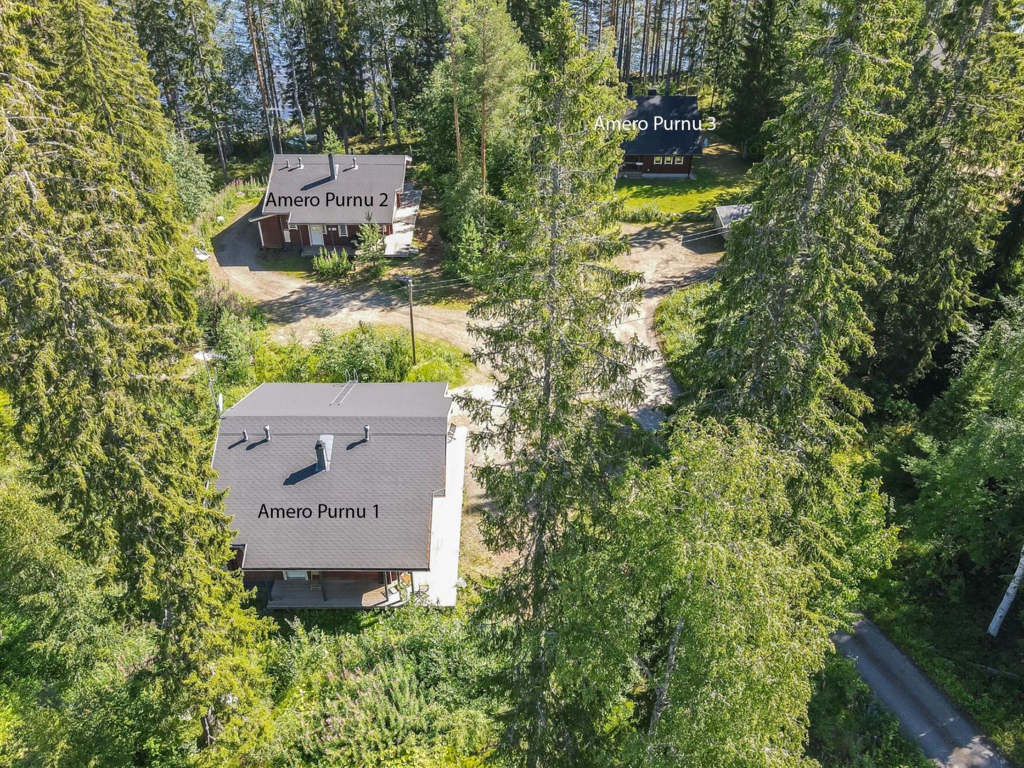 Amero purnu 1-Binnen