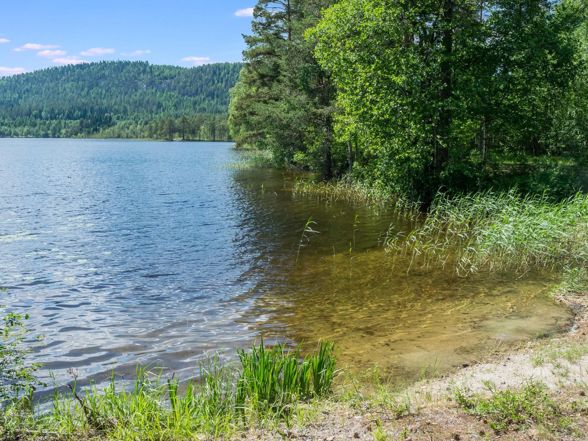 Loma-koli 7-Binnen