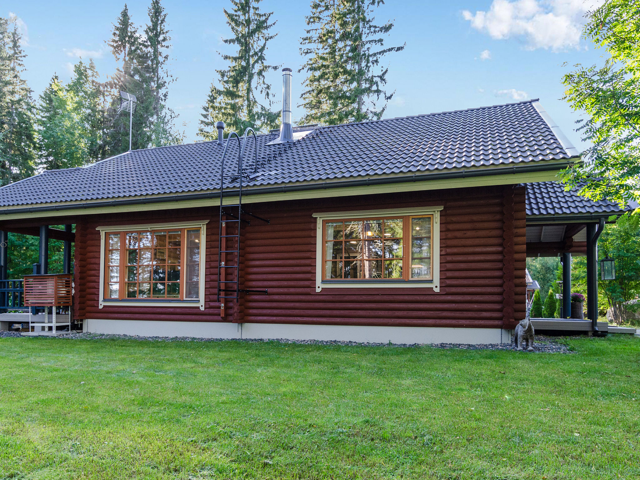 Villa usva