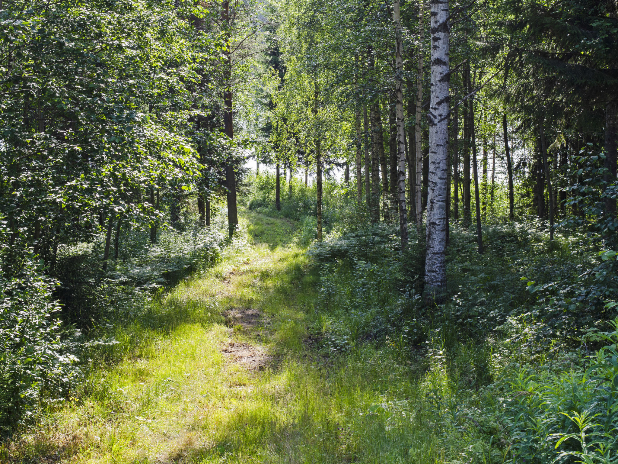 Käränkkä