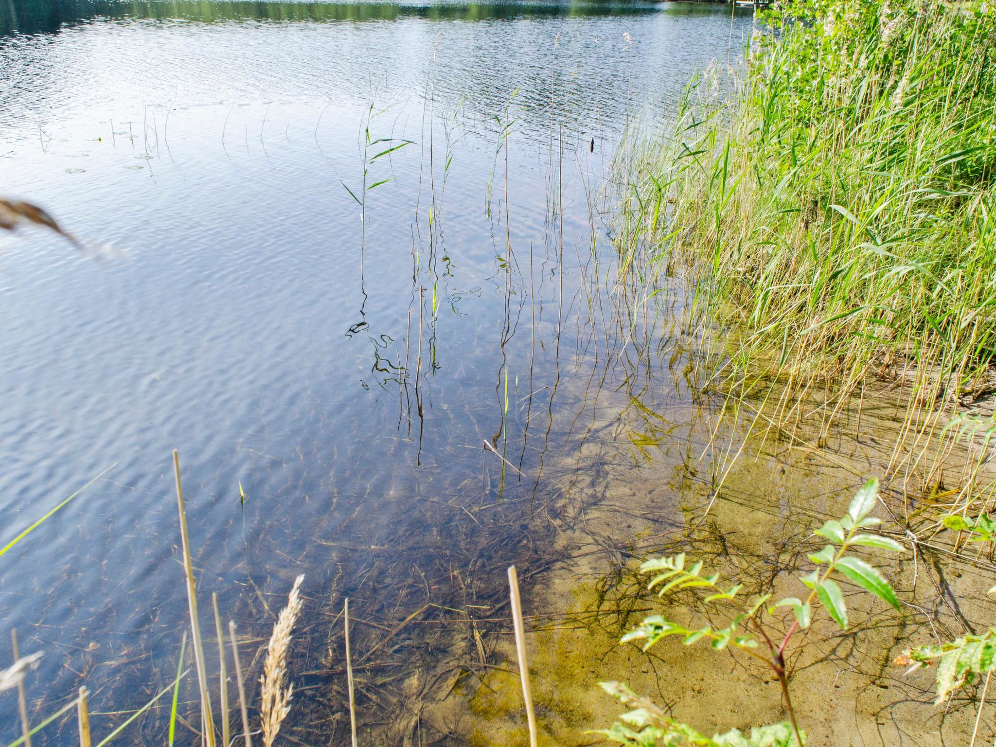 Blue lake villa-Binnen