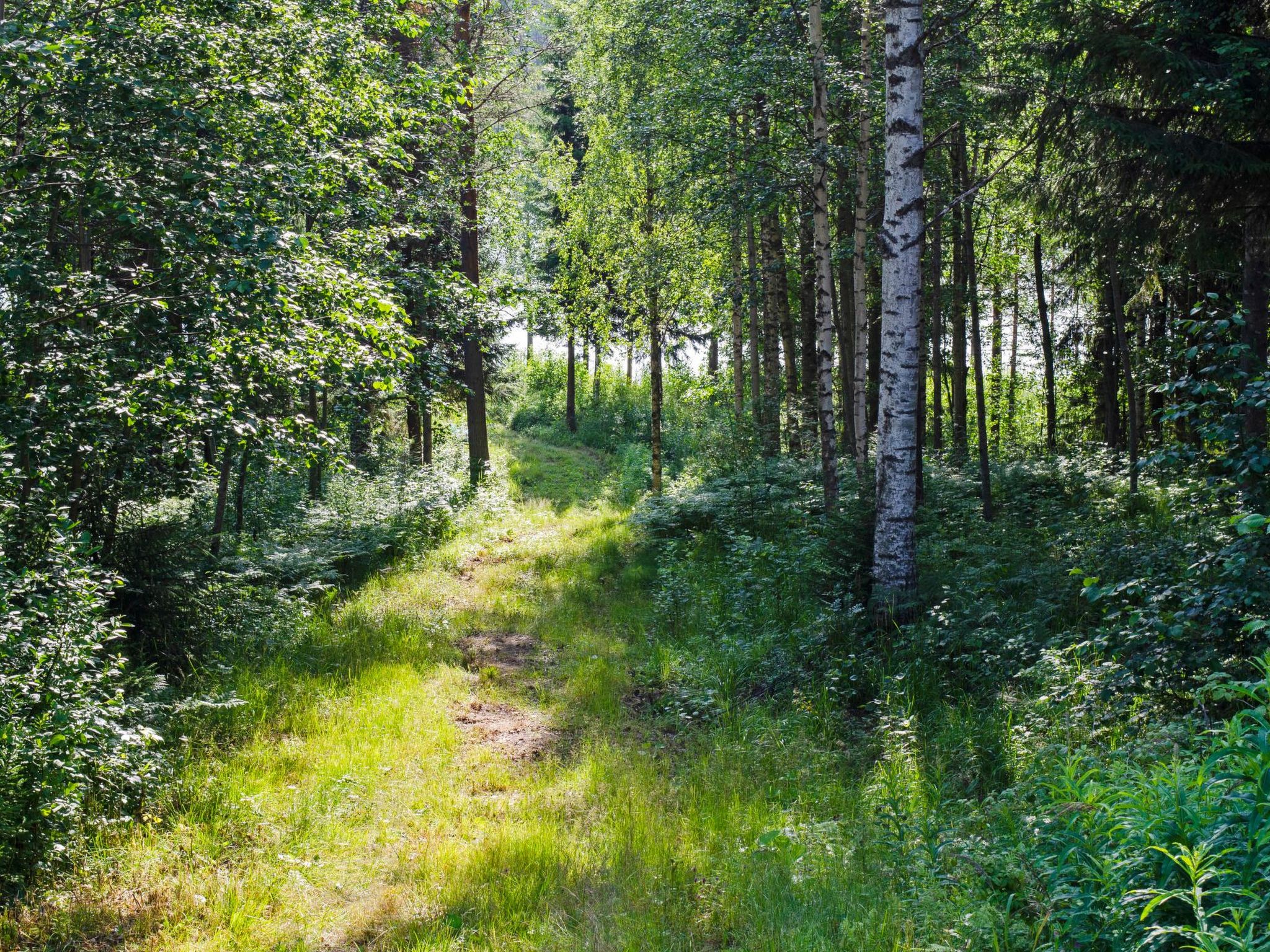 Blue lake villa-Binnen