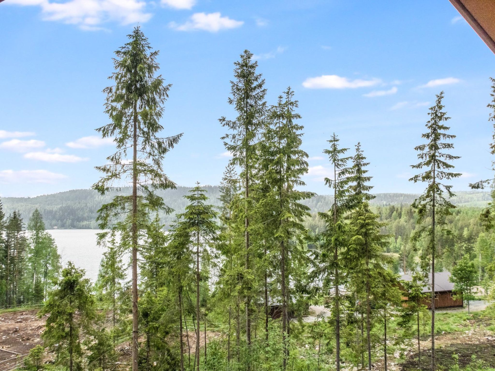 Kolin kangastus kielo 3-Binnen