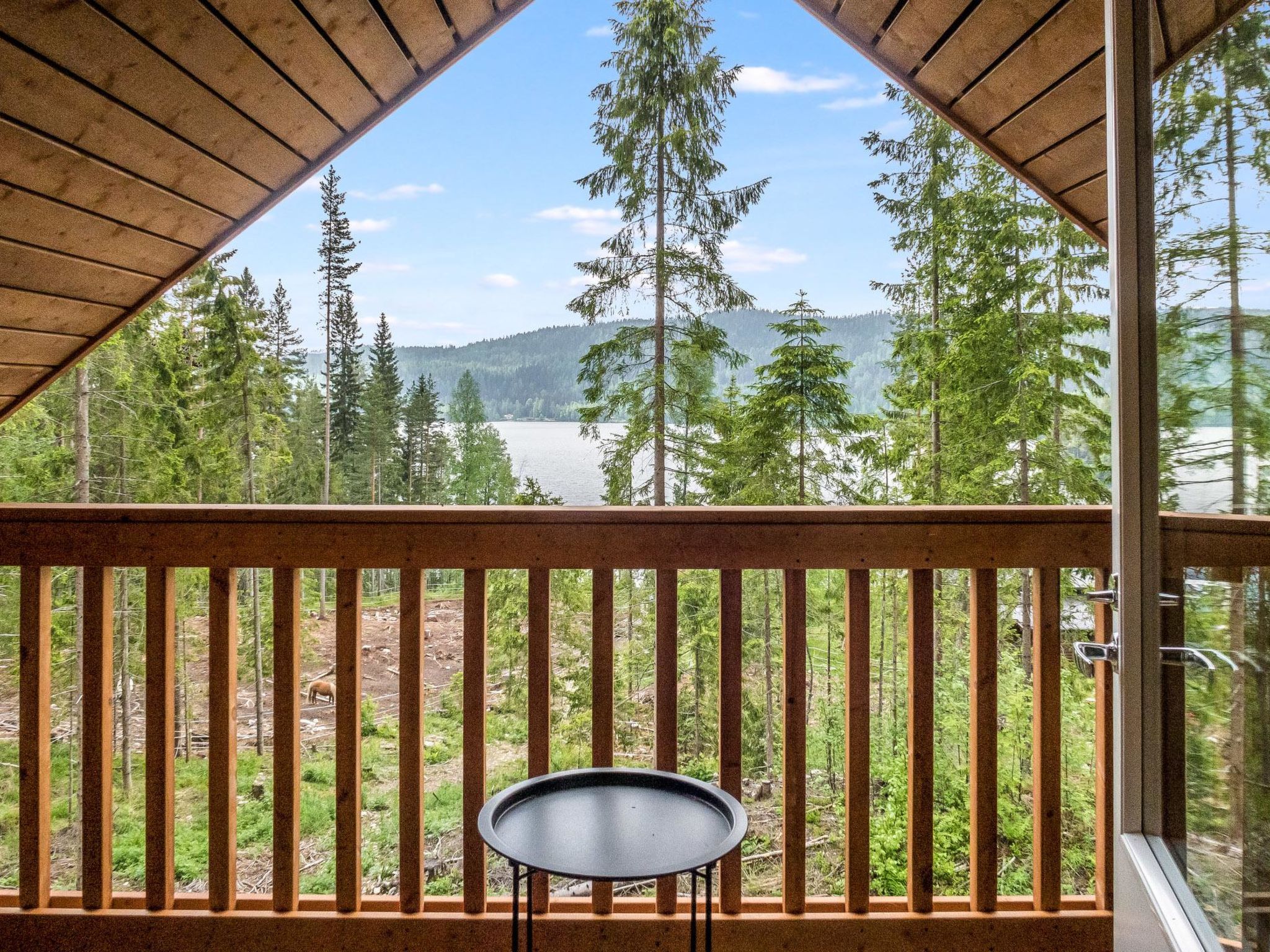 Kolin kangastus kielo 3-Binnen