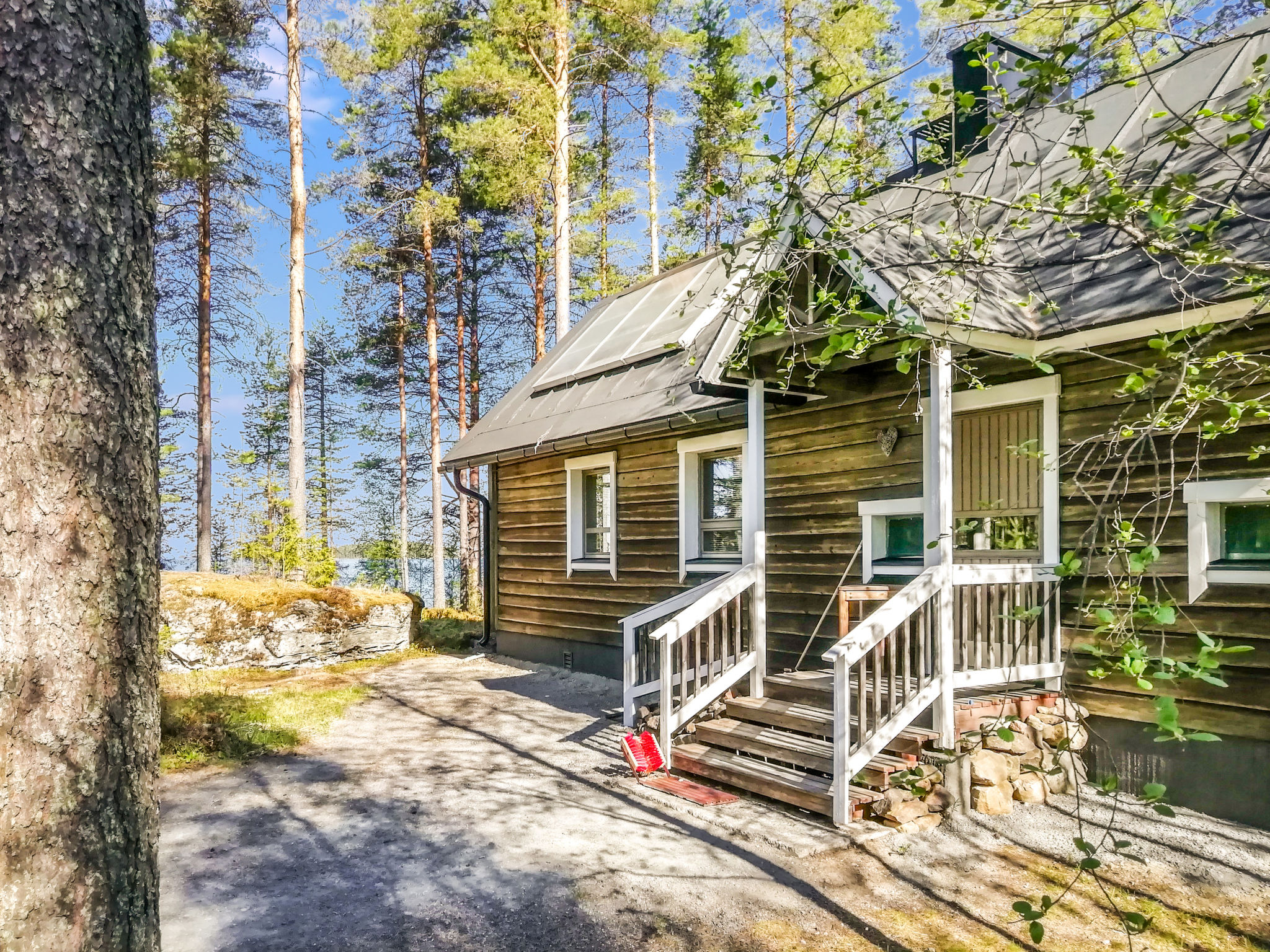 Luhtalemmikki