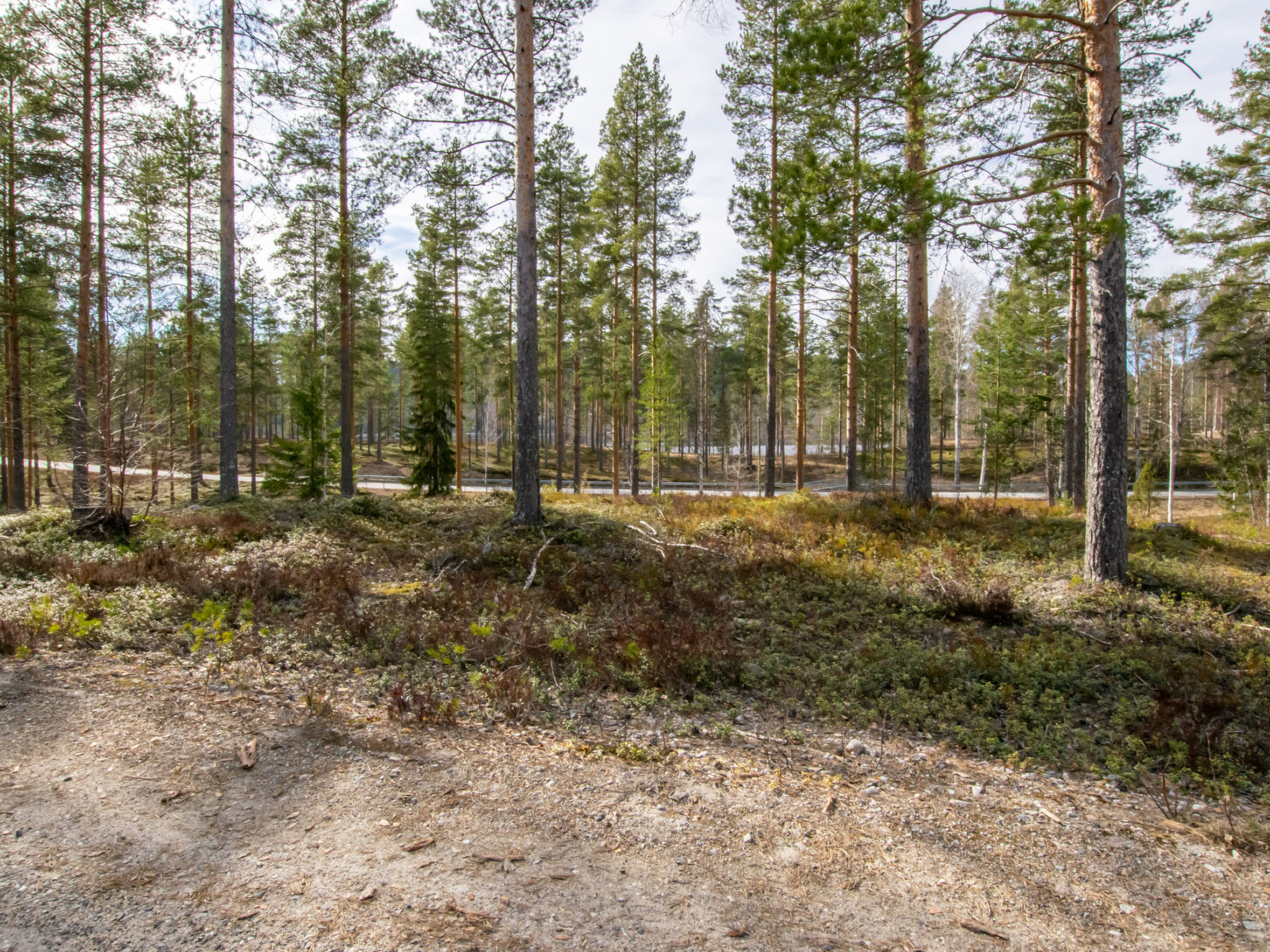 Koli country club d 14 - Binnen