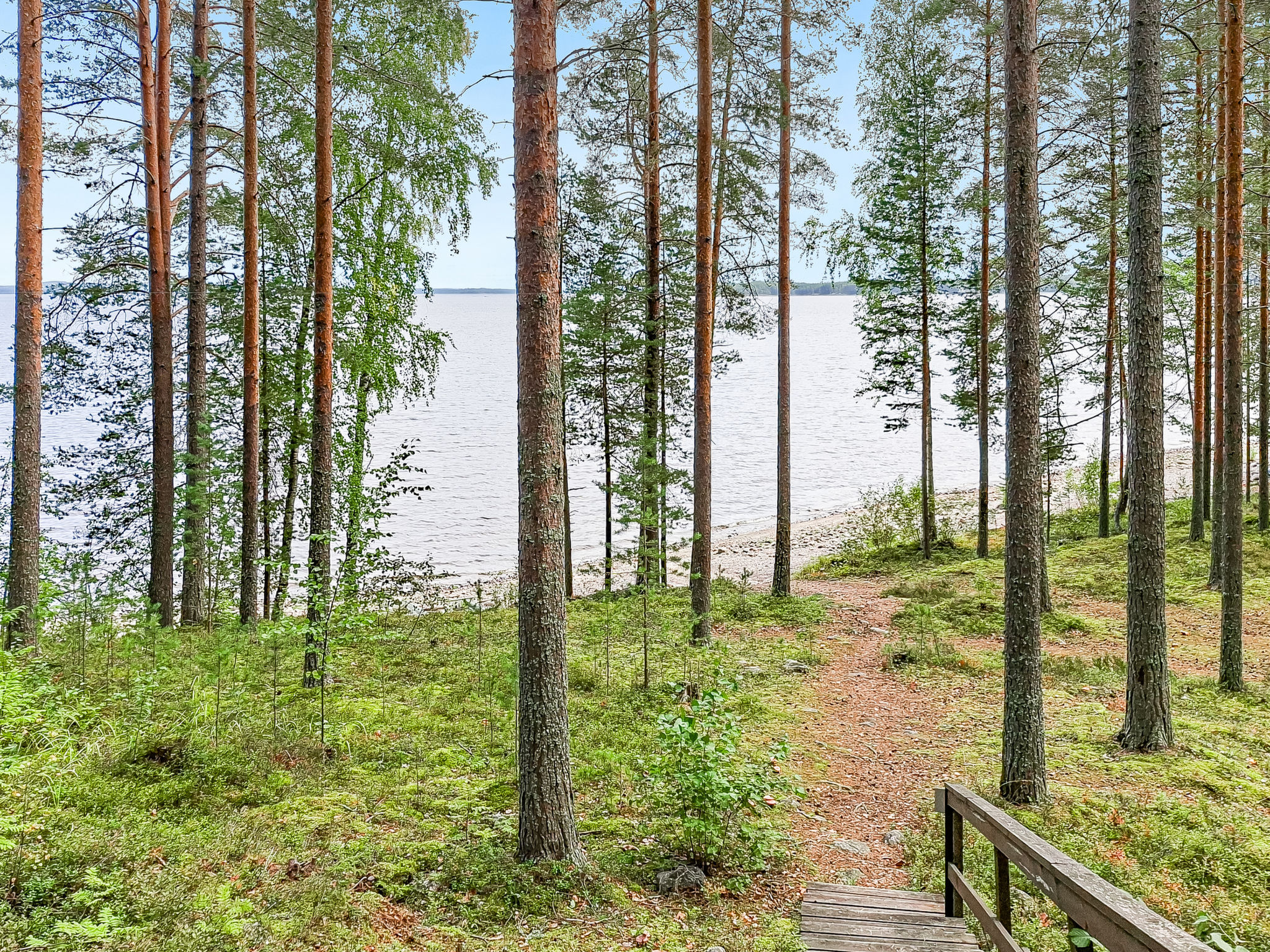 Mäkrä 3 - Binnen