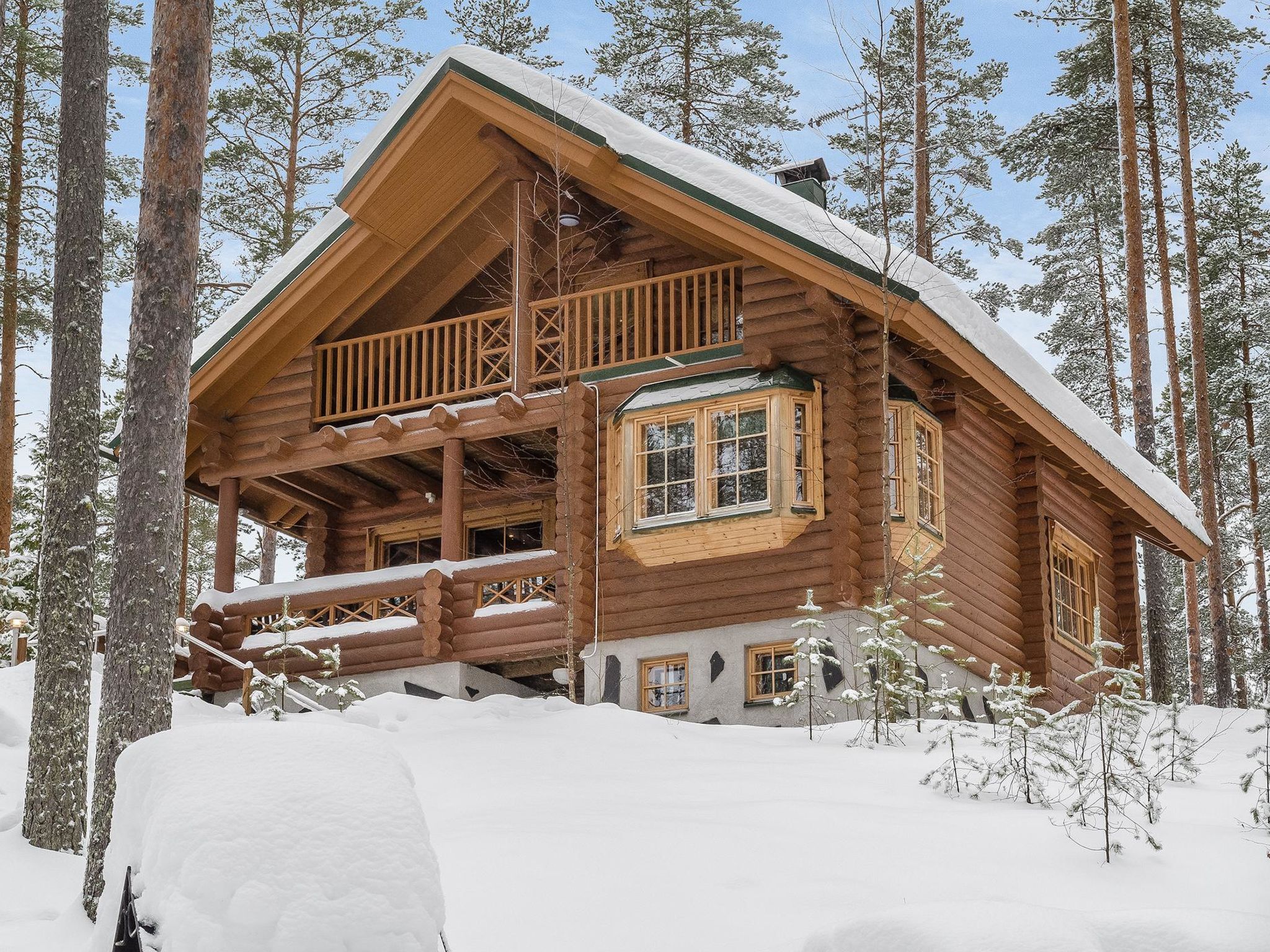 Villa tunturitervakko-Binnen