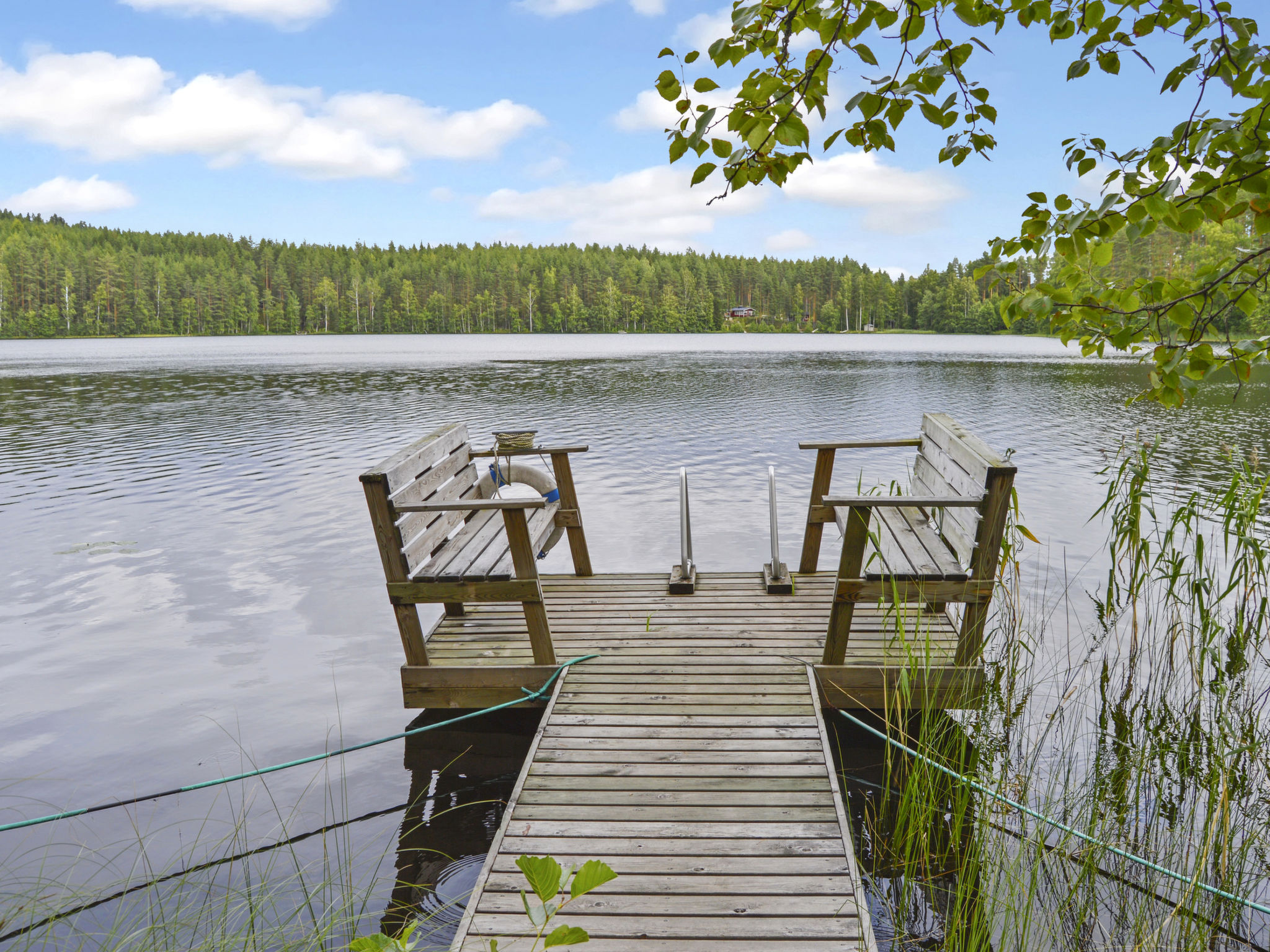 Villa käpytikka