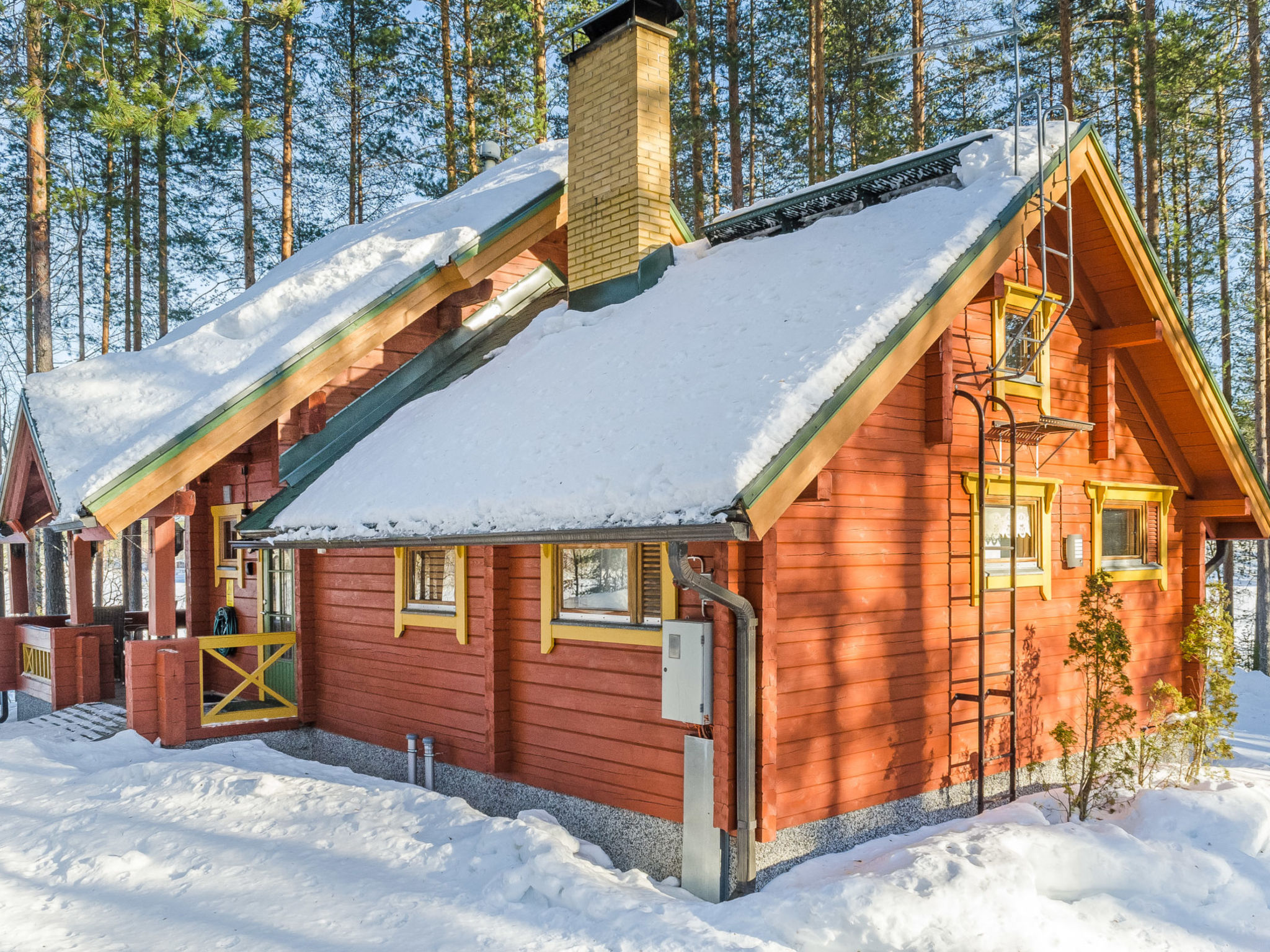 Villa käpytikka - Drinnen