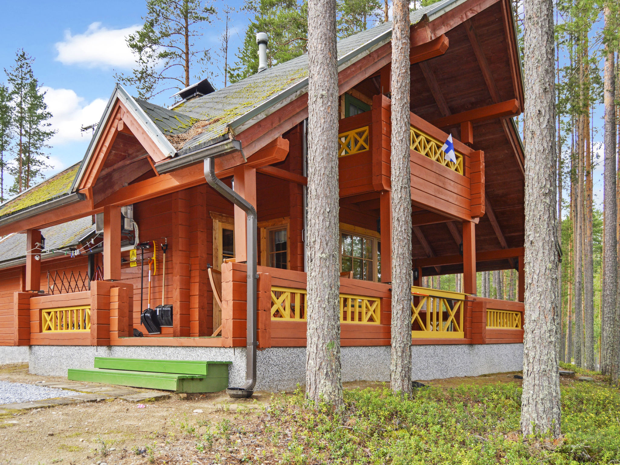 Villa käpytikka