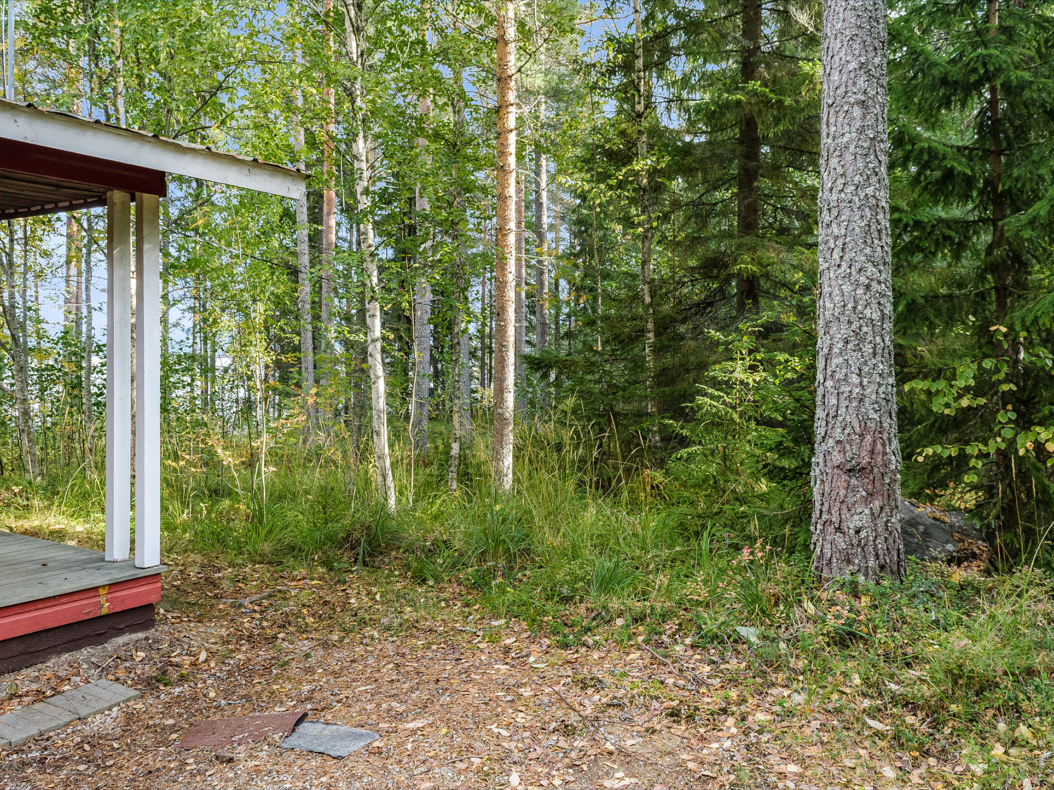 Mäntylä
