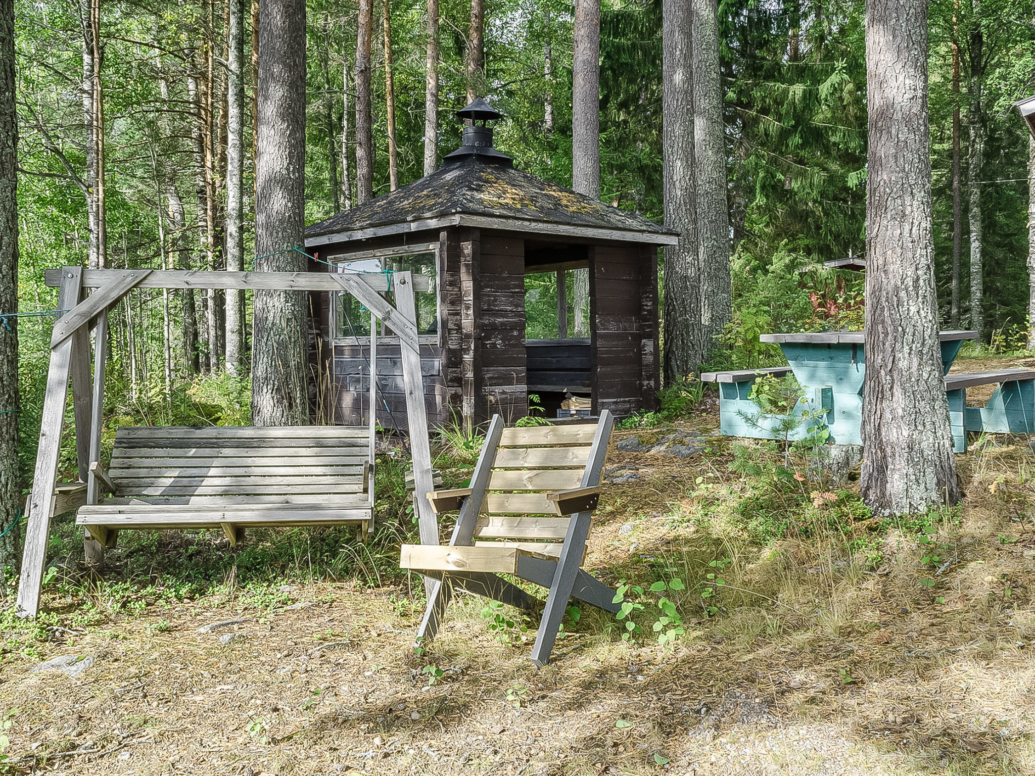 Haapalehto