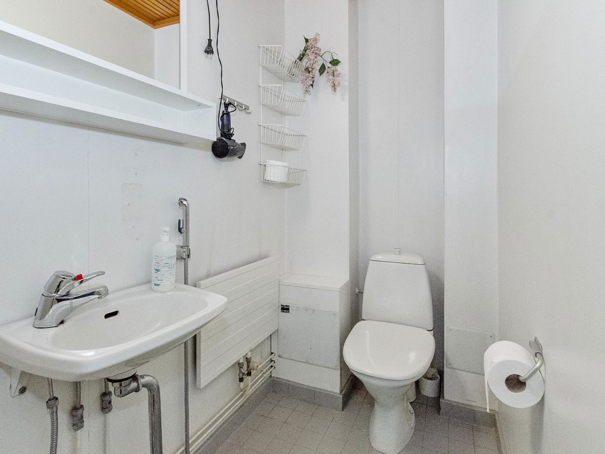 Kulta-käkönen 3 by bomba-Binnen