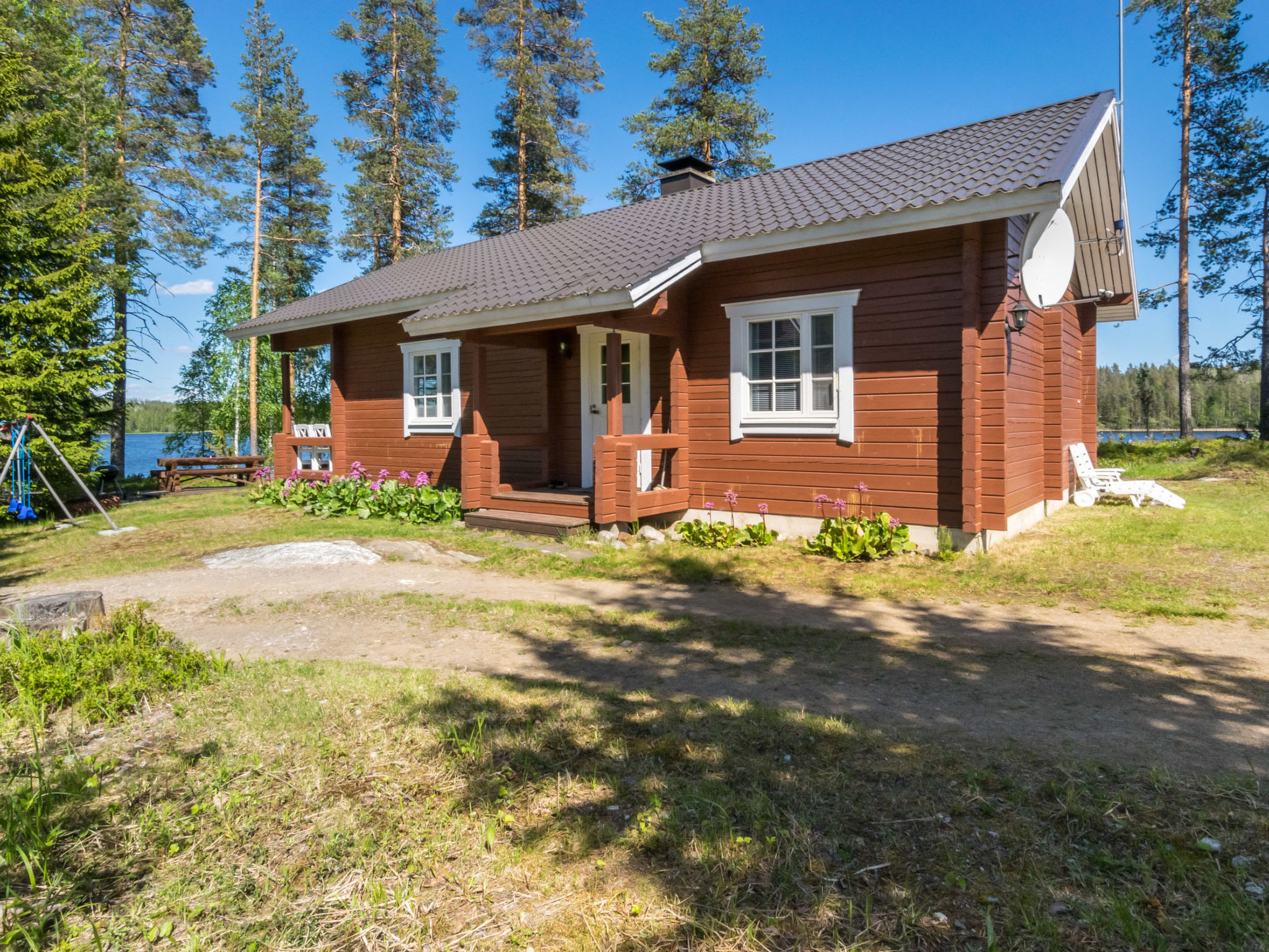 Pajulintu