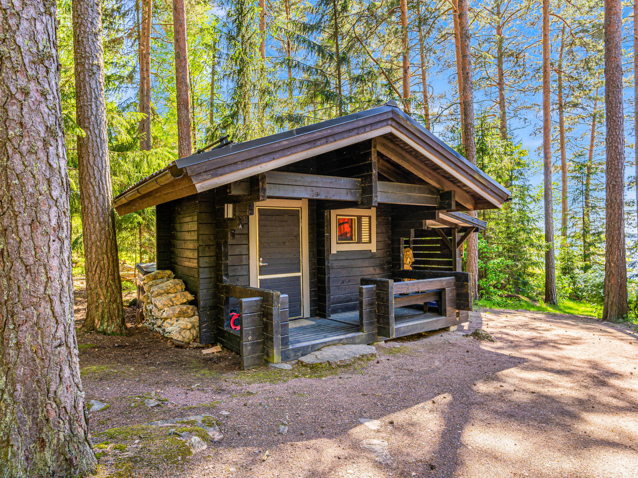 Villa skitunäs