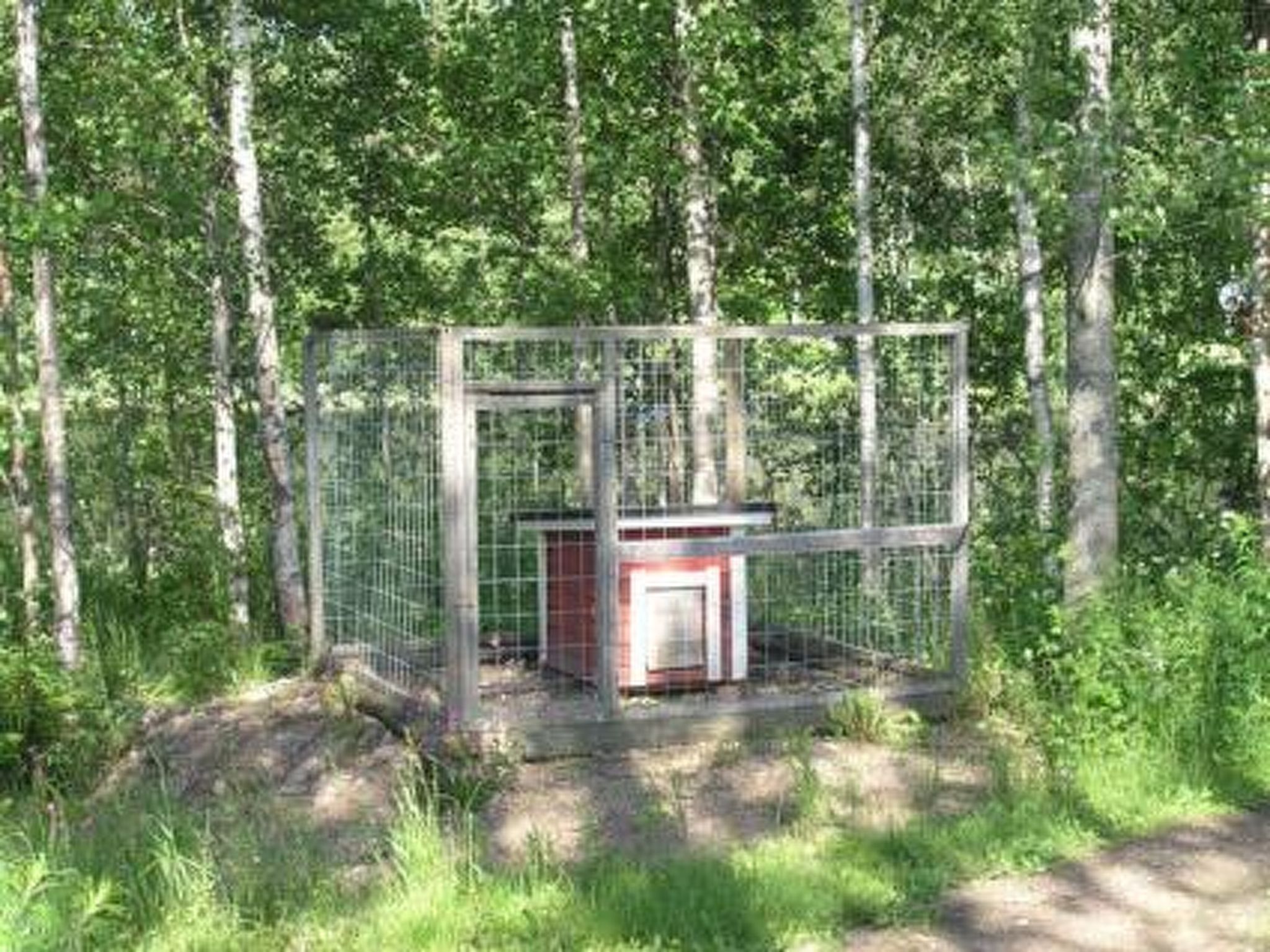 Hirviharju