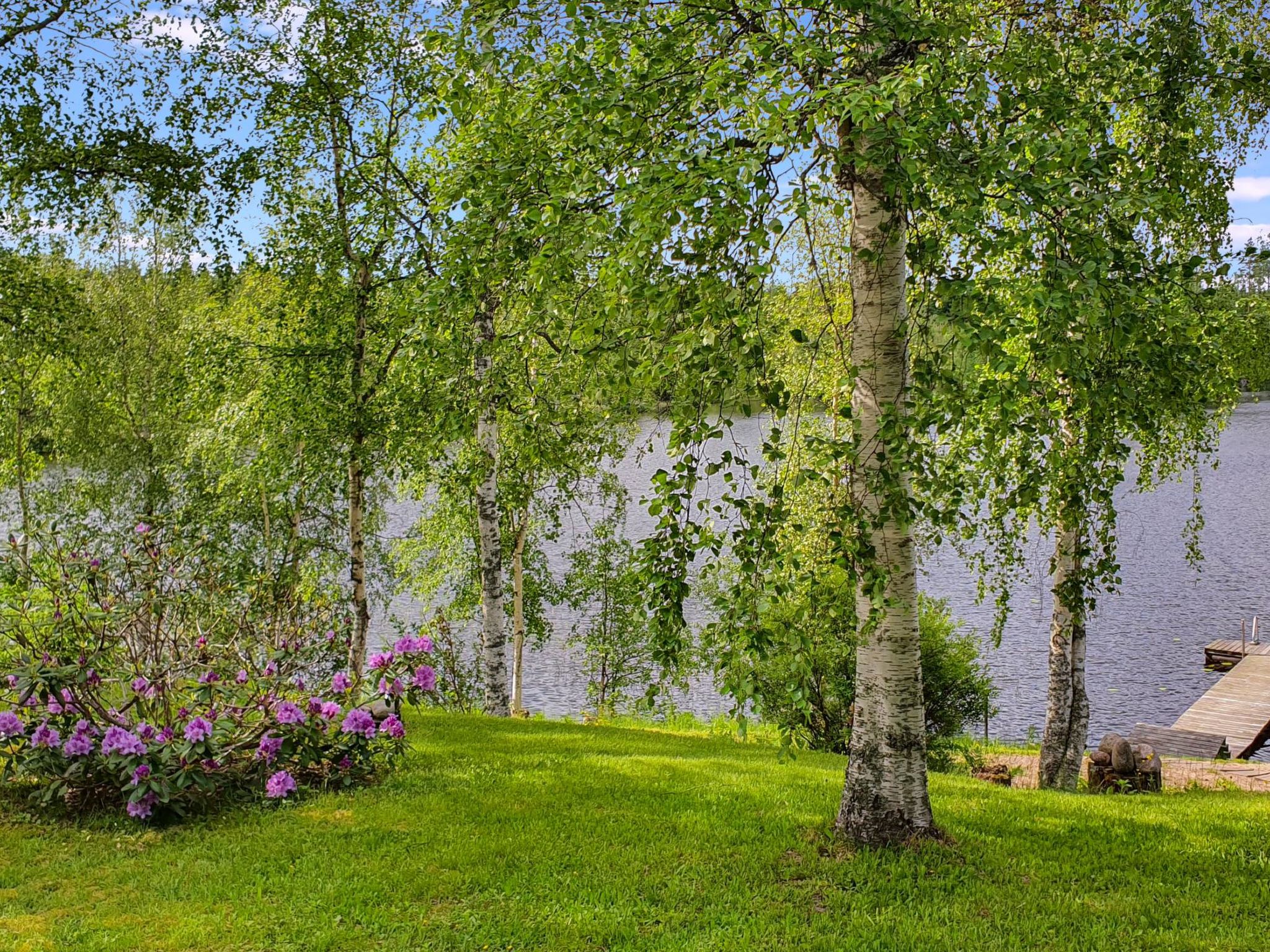 Rinne-expertti-Binnen