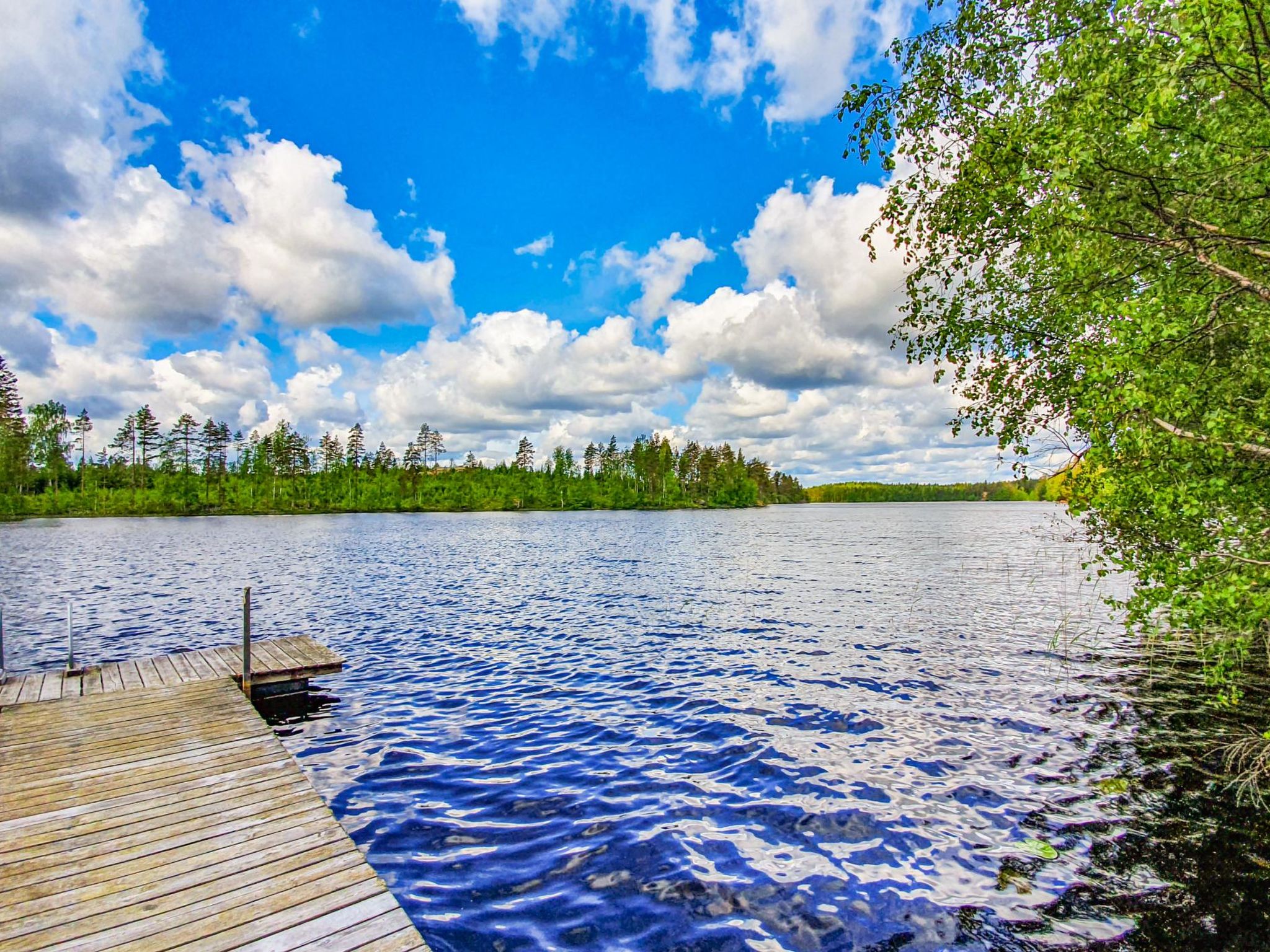 Rinne-expertti-Binnen