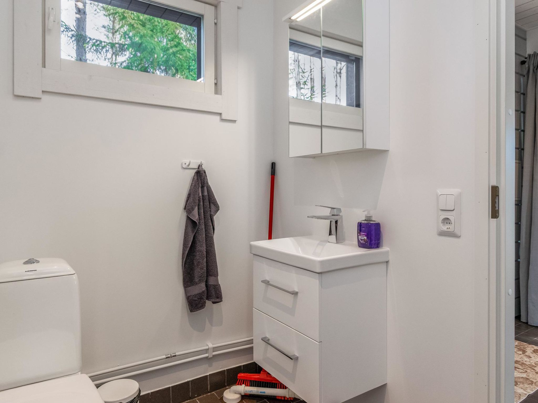 Järven idylli-Binnen