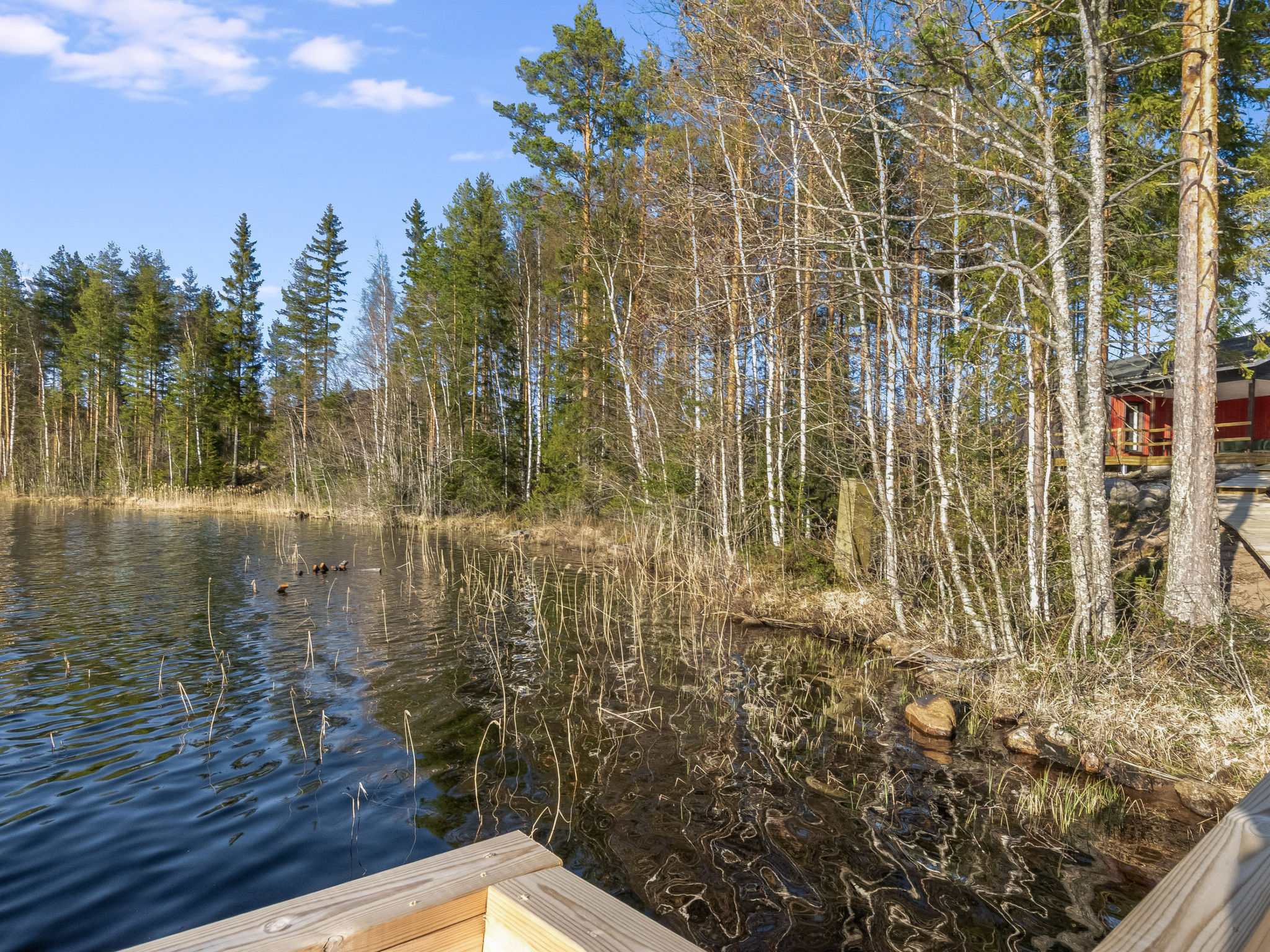 Järven idylli