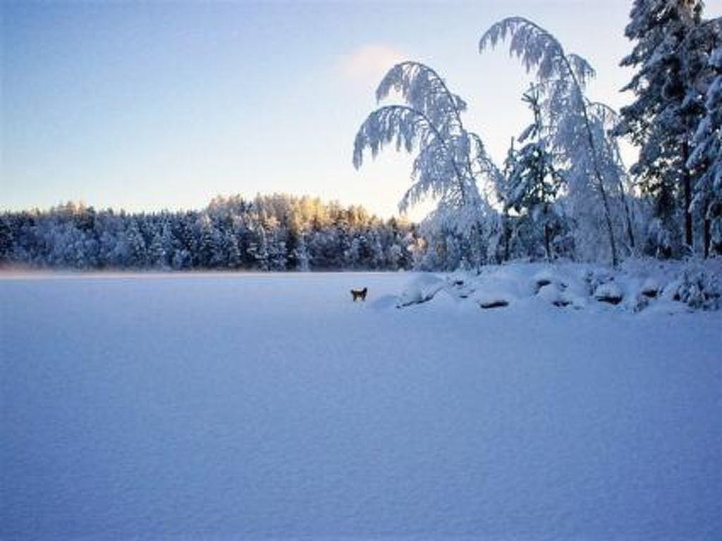 Bild 39