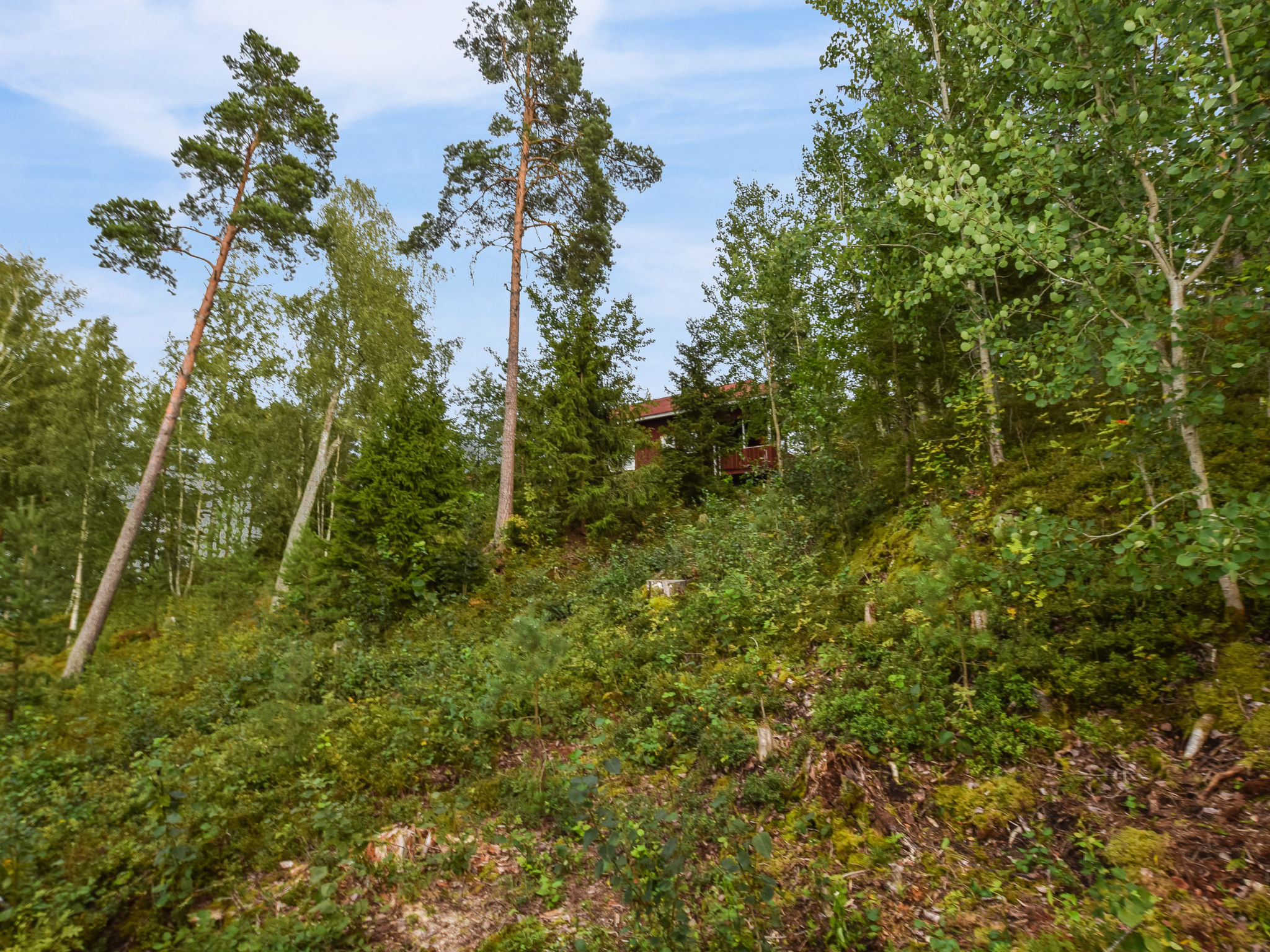 Maison Isokoskelo 5 – Intérieur, photo 33 sur 74
