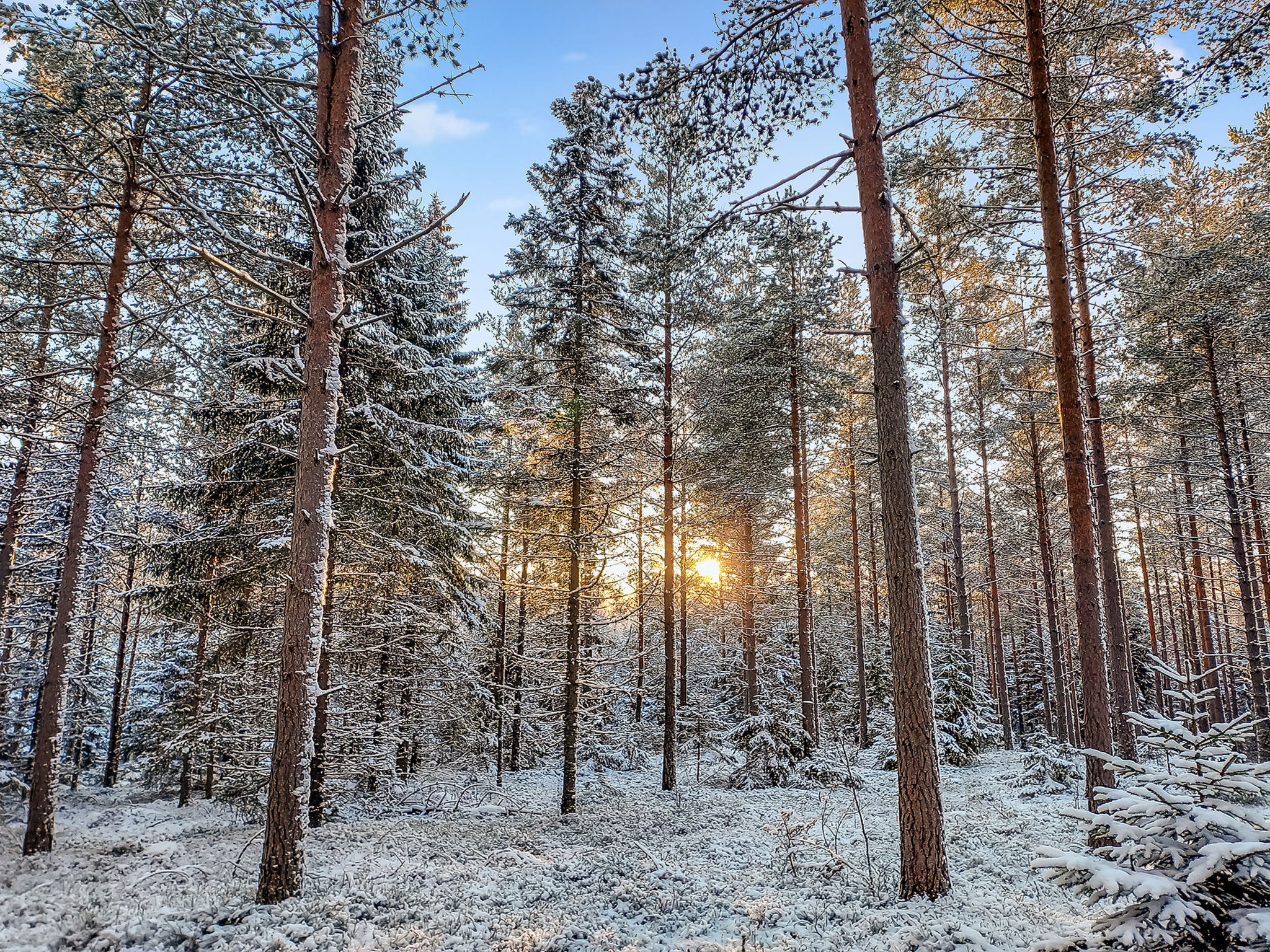Päivärinne
