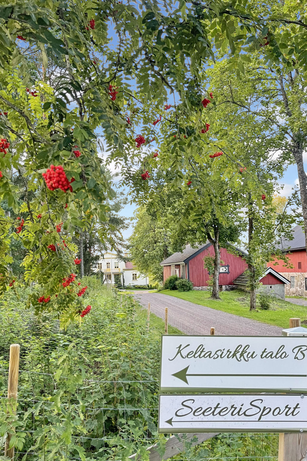 Punatulkku - Drinnen