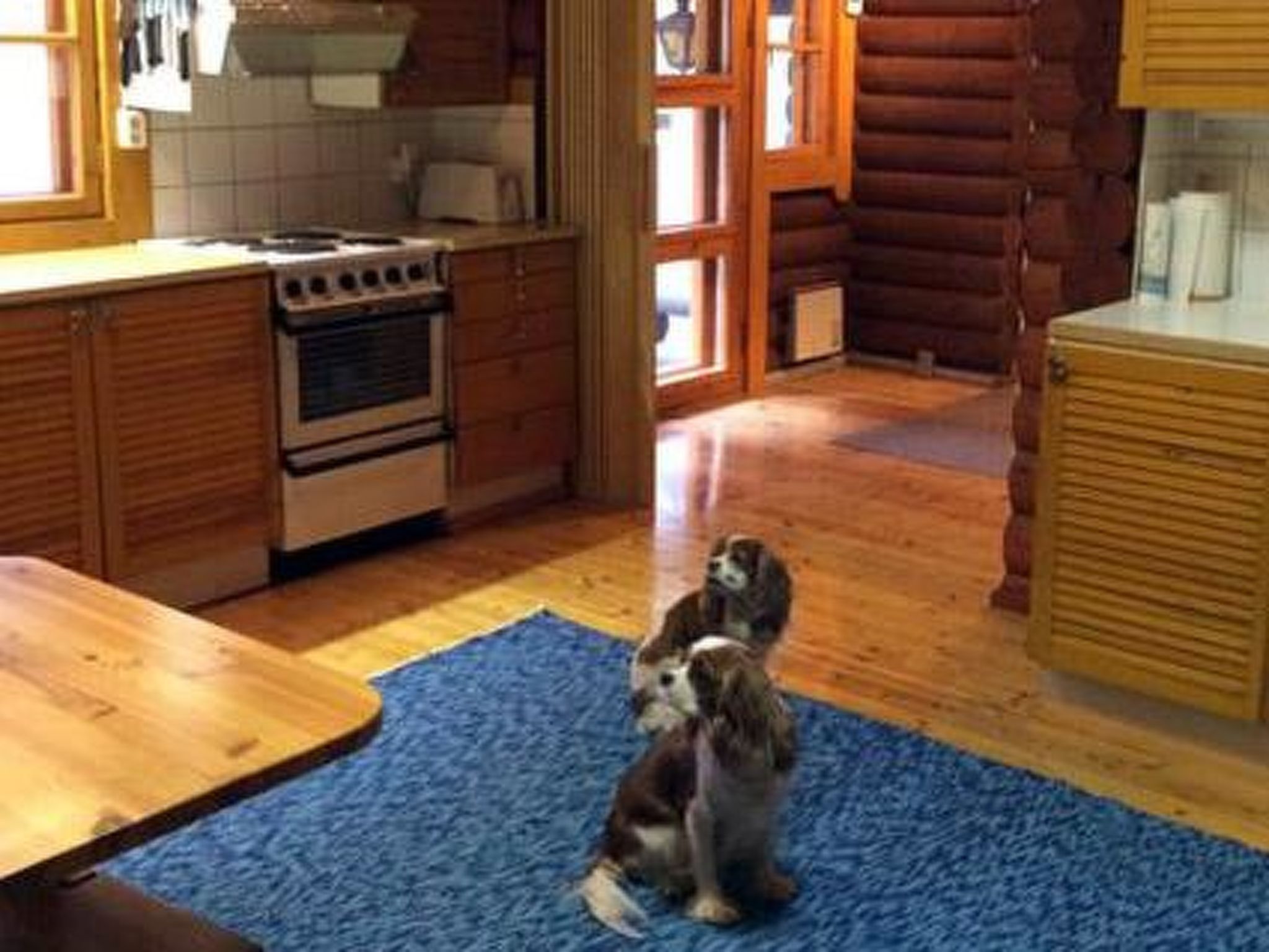 Maison Sokeelampi – Intérieur, photo 37 sur 44