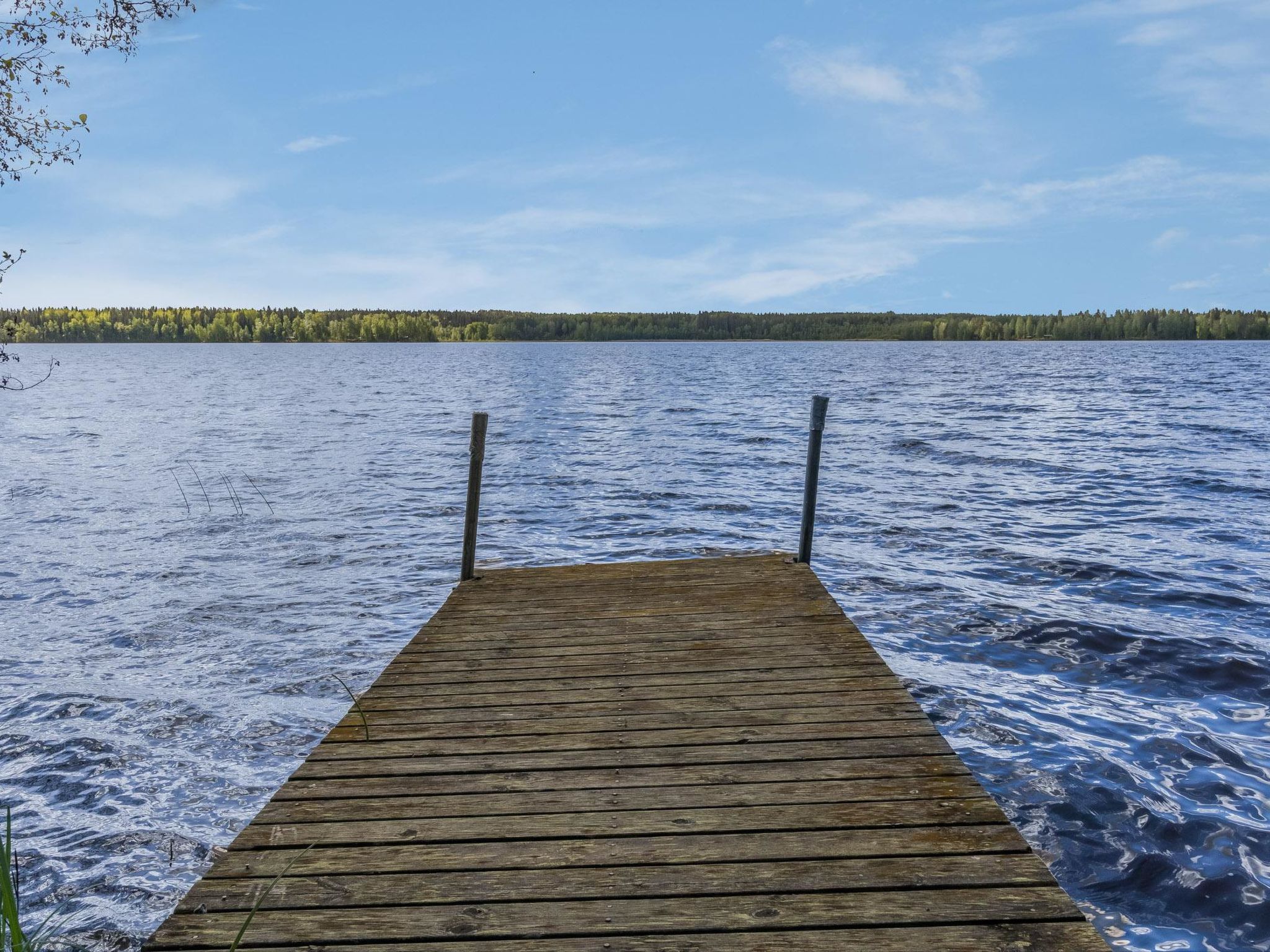 Niinimökki