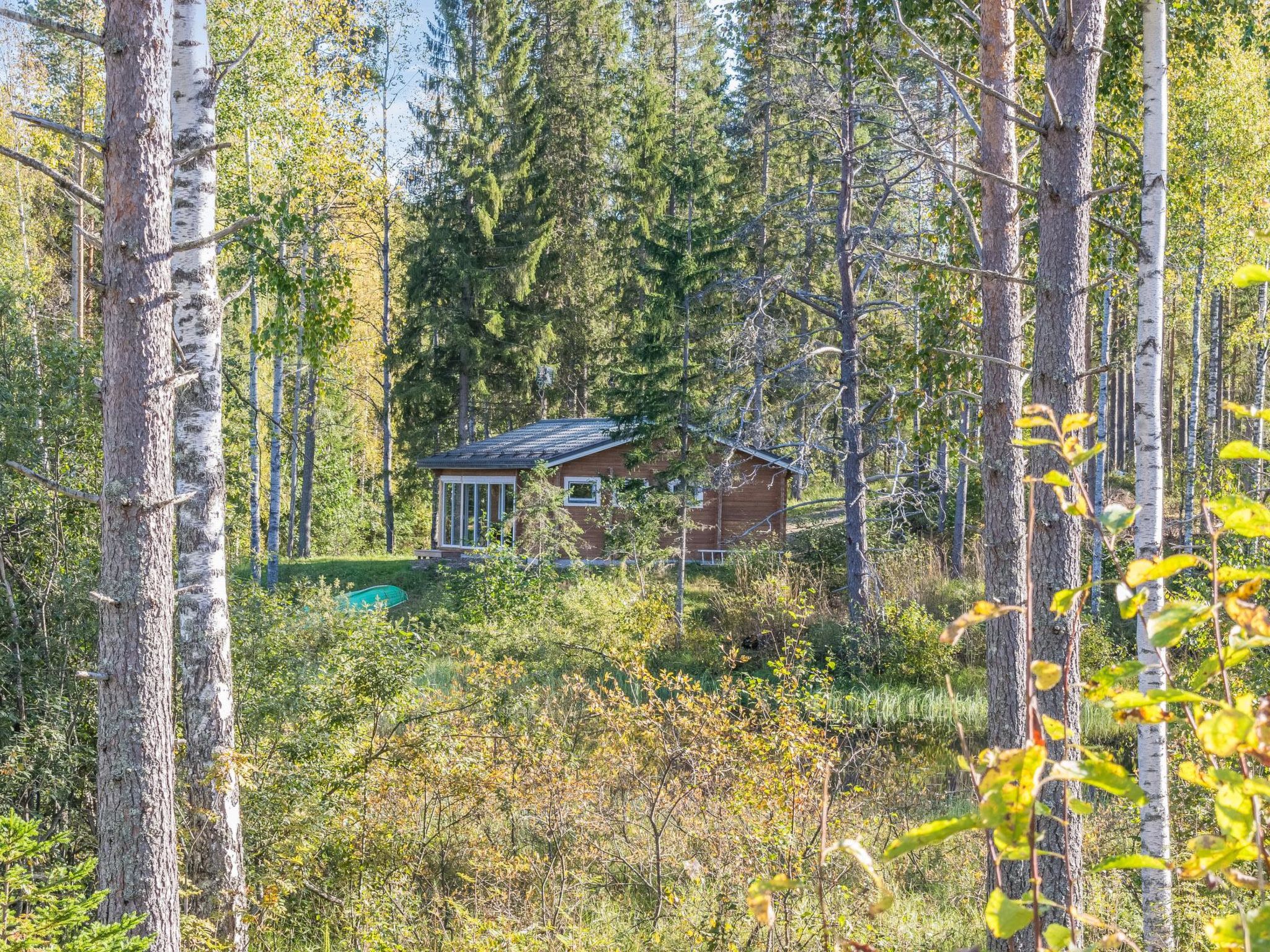 Koskisaari, vaikon loma 2-Binnen