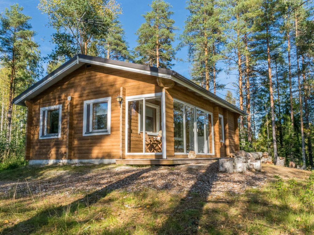 Vakantiehuis Sakarinniemi, vaikon loma 5