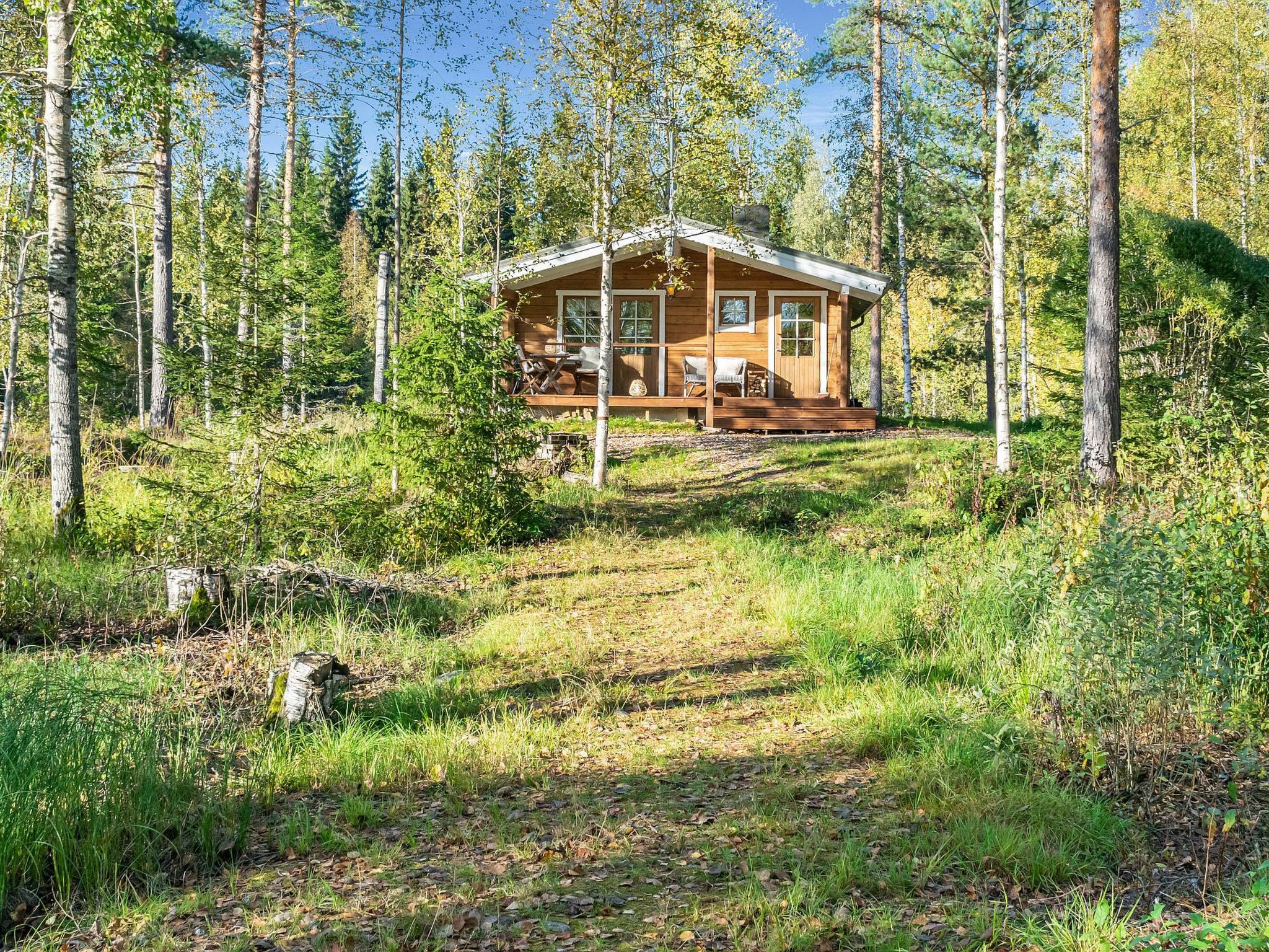 Niemenkärki, vaikon loma 8-Binnen