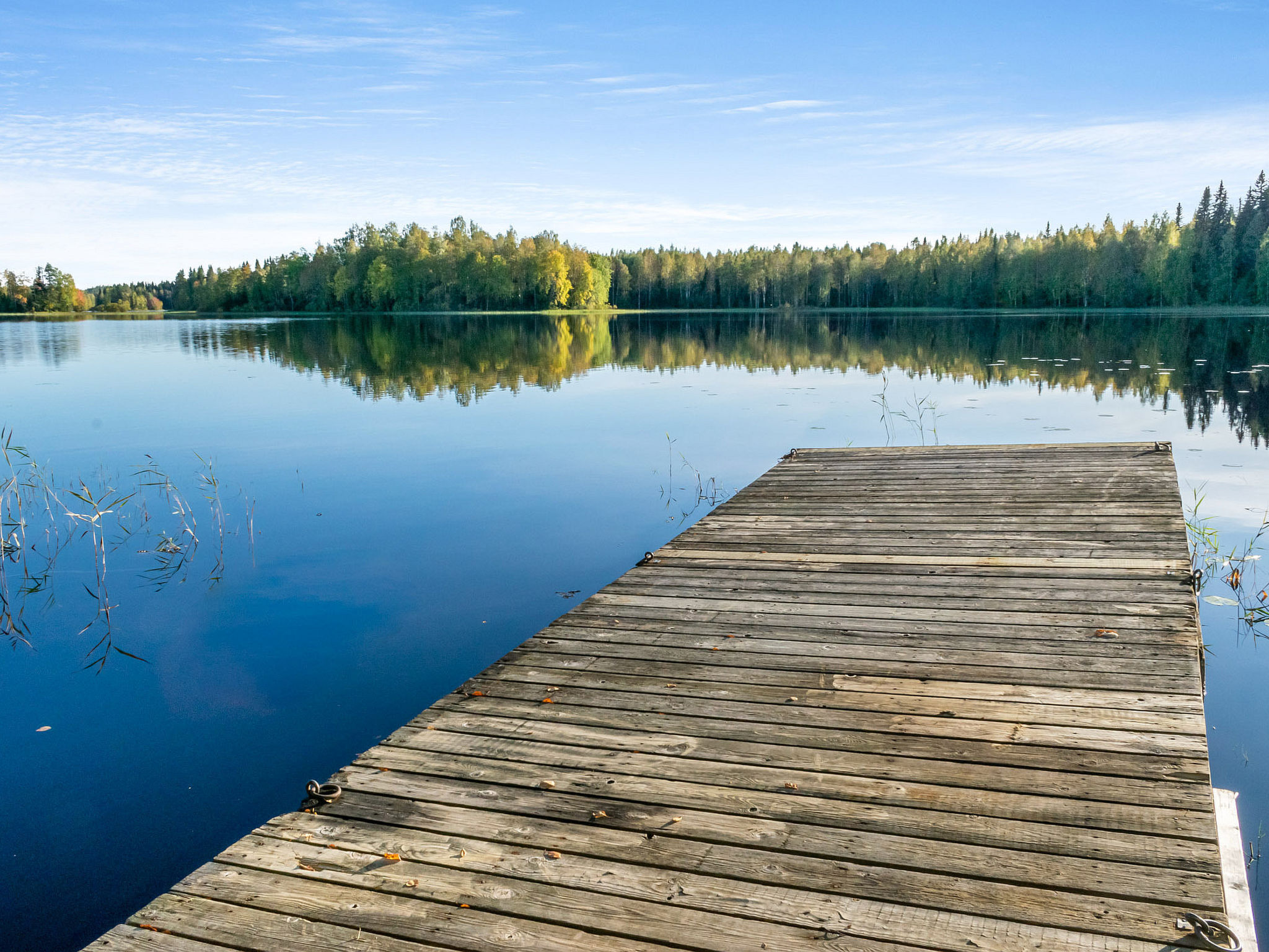 Niemenkärki, vaikon loma 8 - Binnen