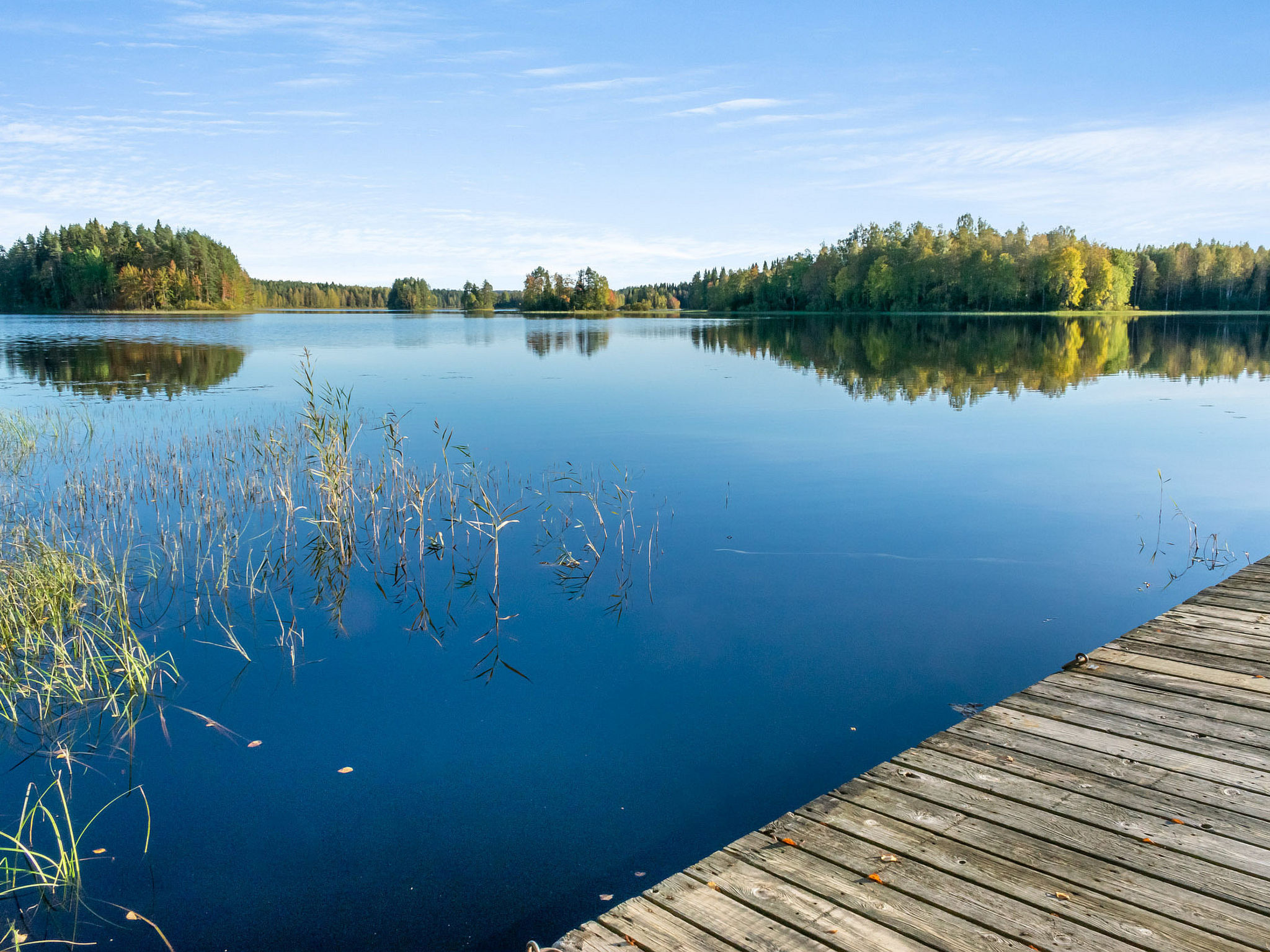 Niemenkärki, vaikon loma 8 - Binnen