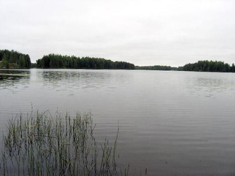 Kärkelä