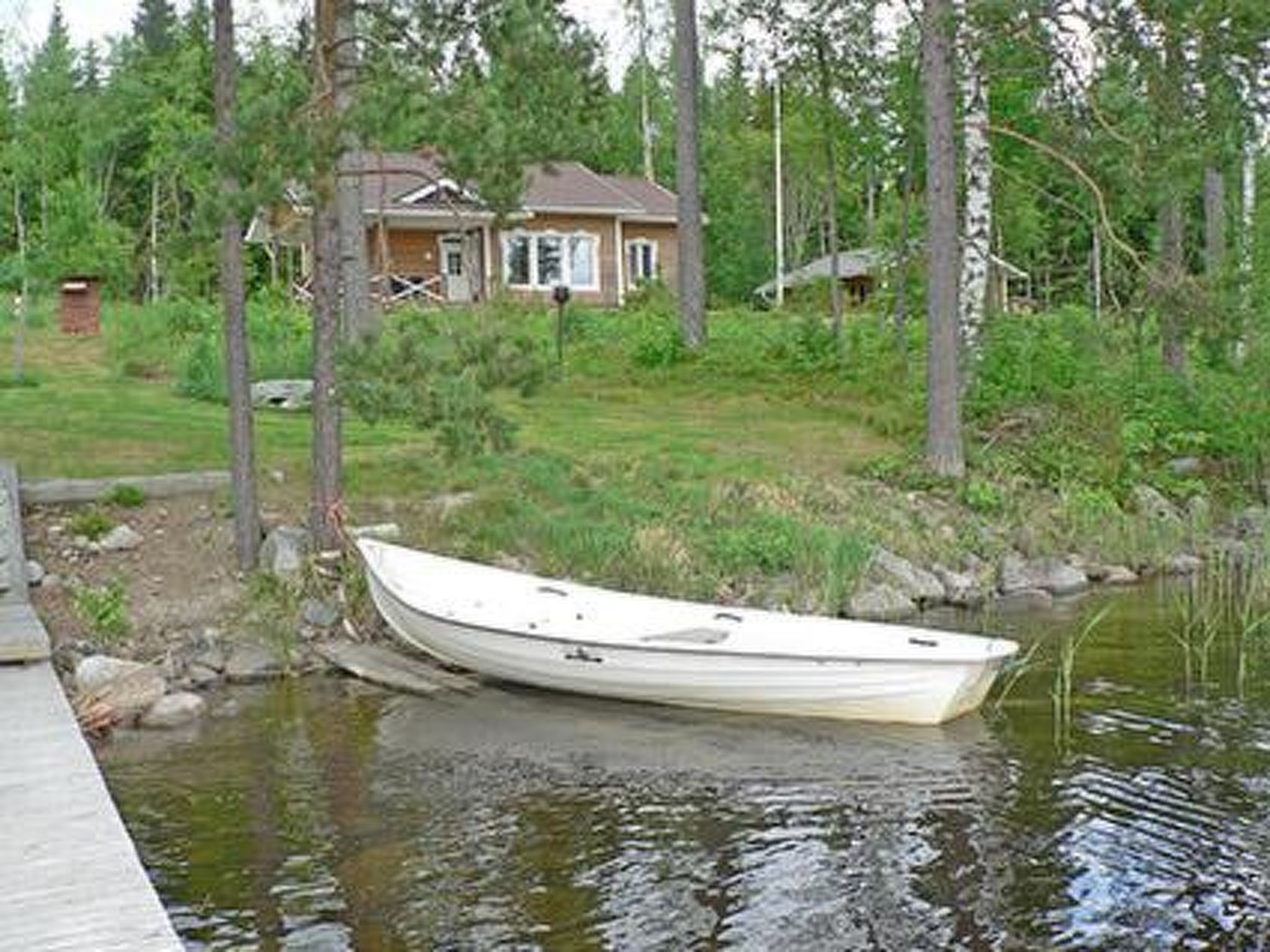 Koho