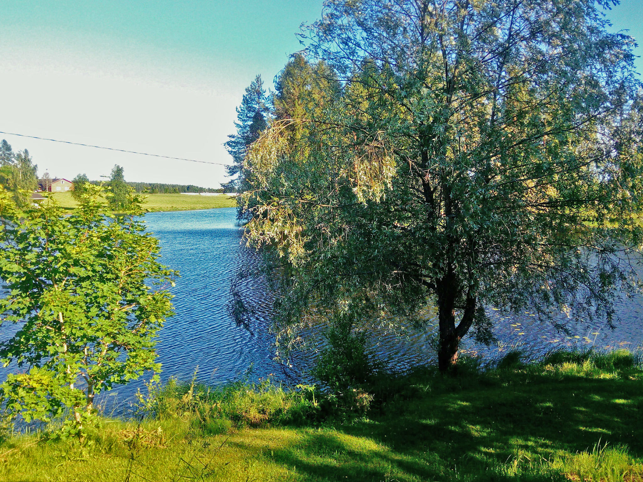 Sillankorva