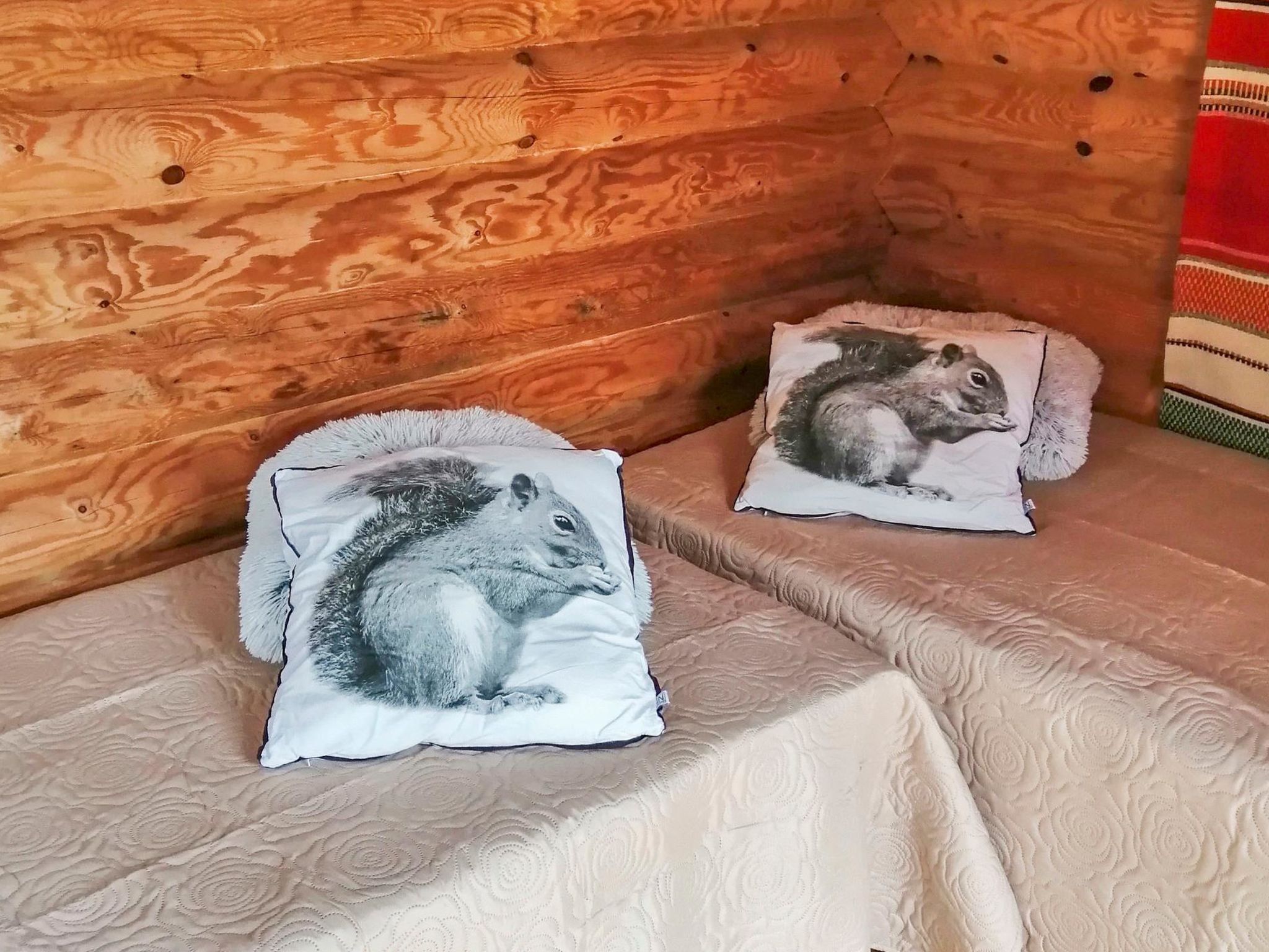 Ruokovirran mökki-Binnen