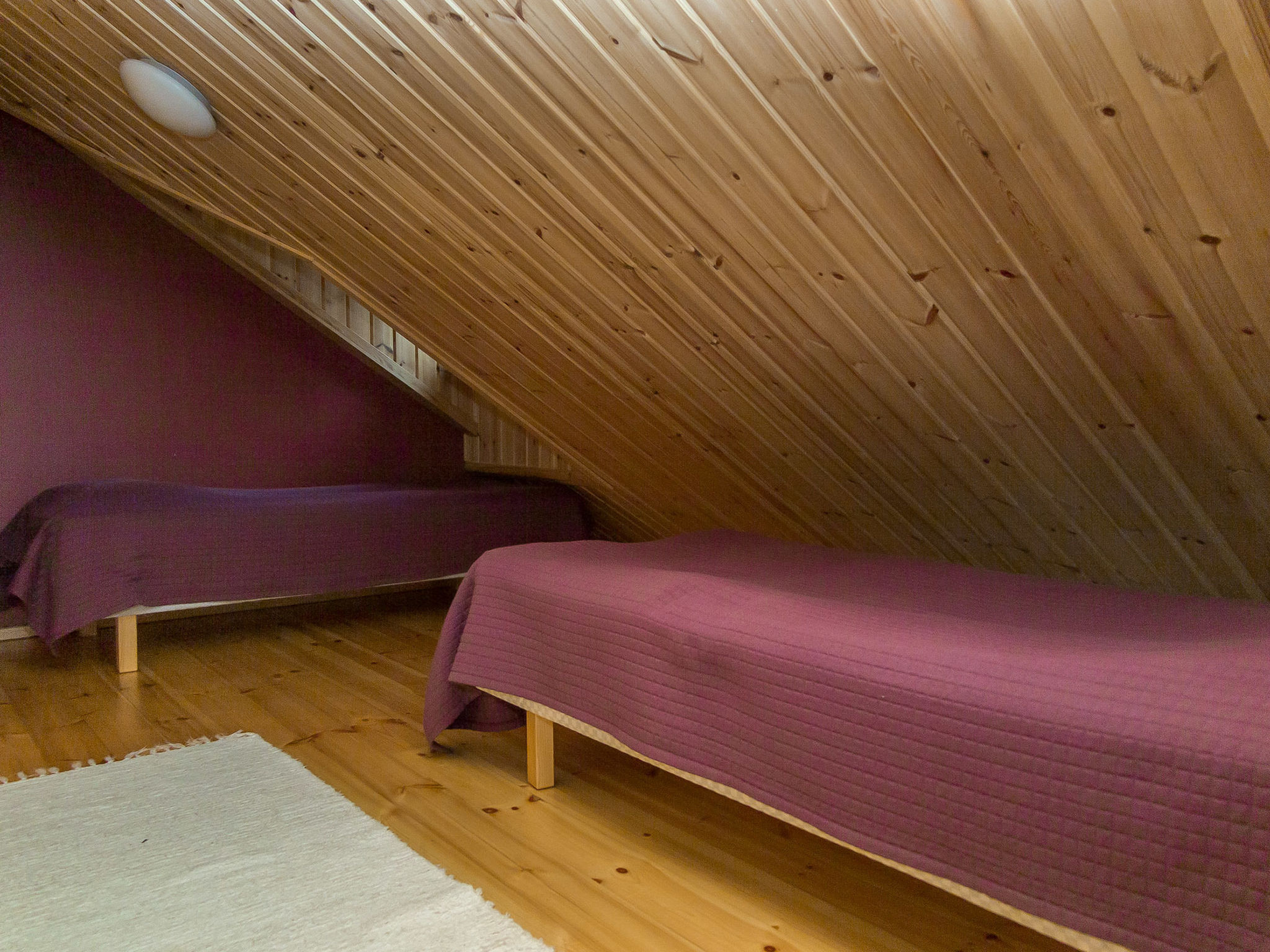 Syvärinkulta a - Inside