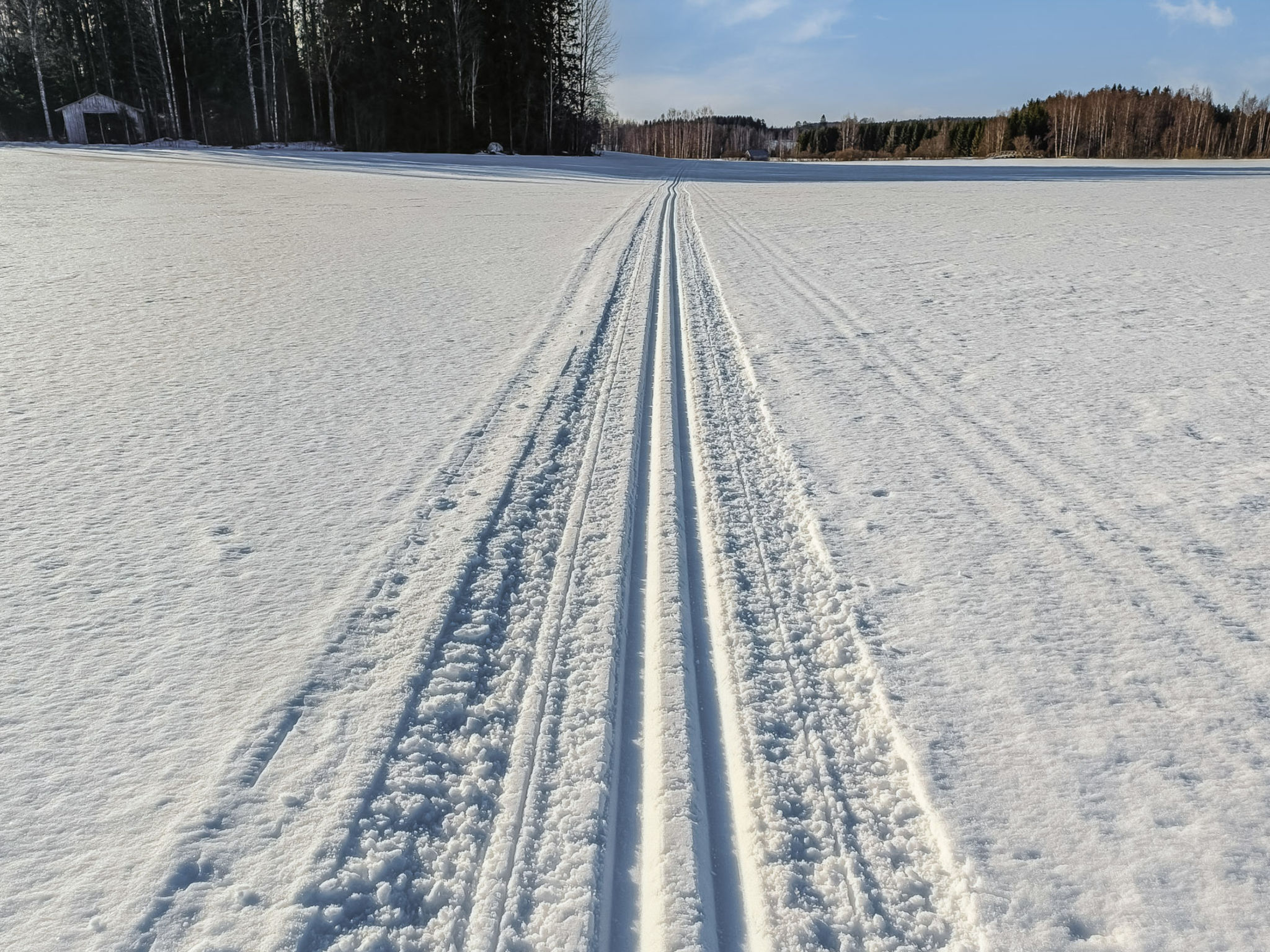 Iltarusko