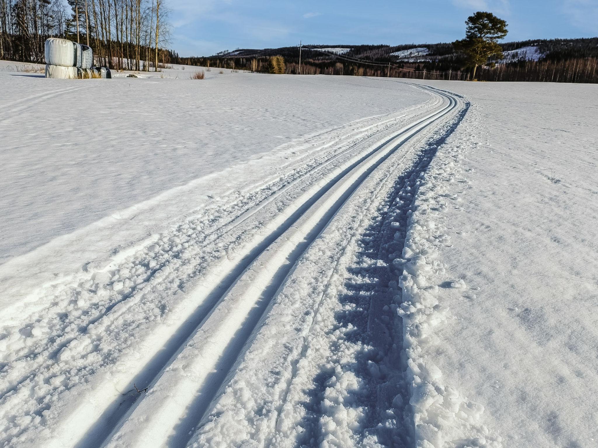 Iltarusko