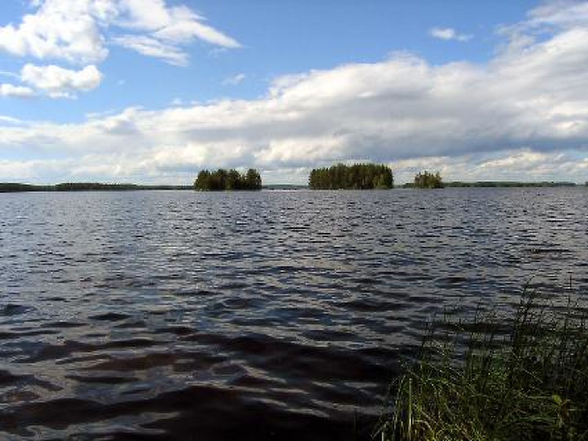 Puolukka - Binnen