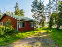 Saniainen 5