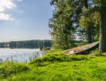 Saniainen 5