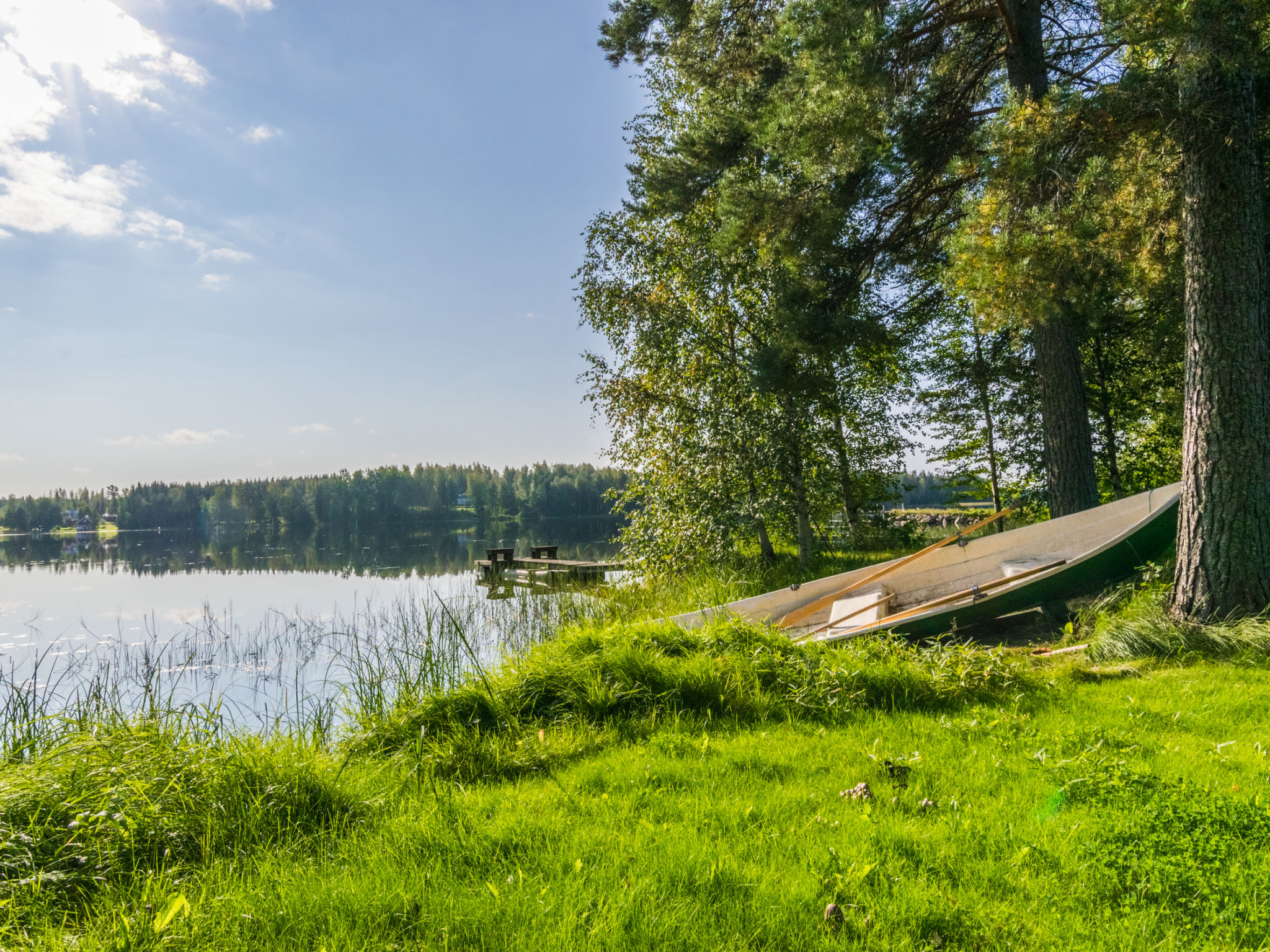 Saniainen 5