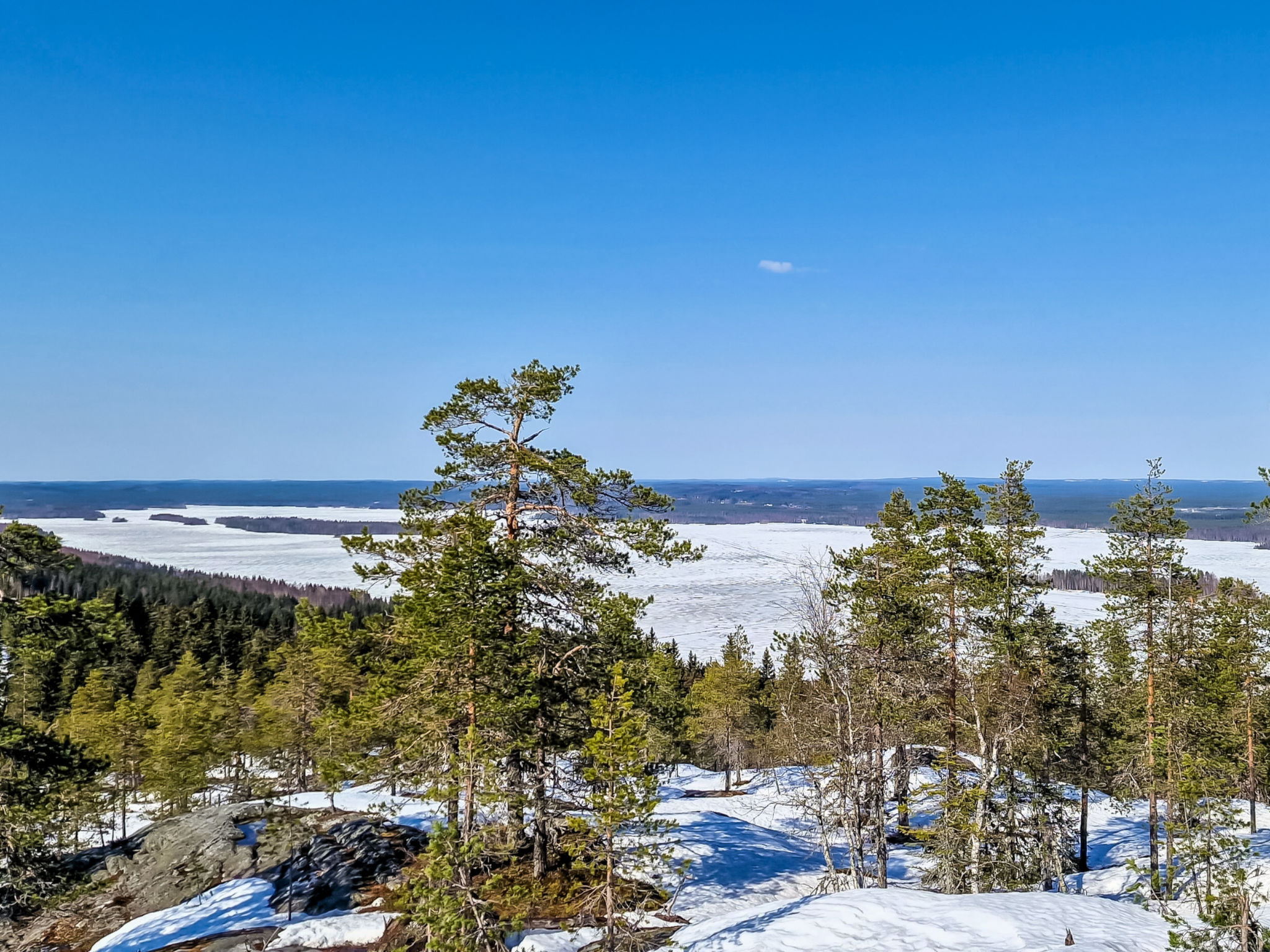 Villa savonia - Binnen