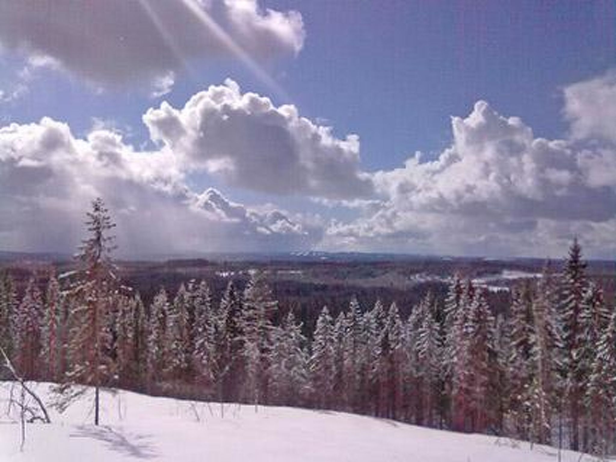 Villa savonia-Binnen