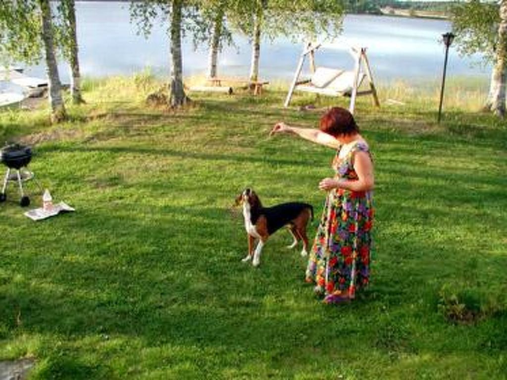 Bild 9